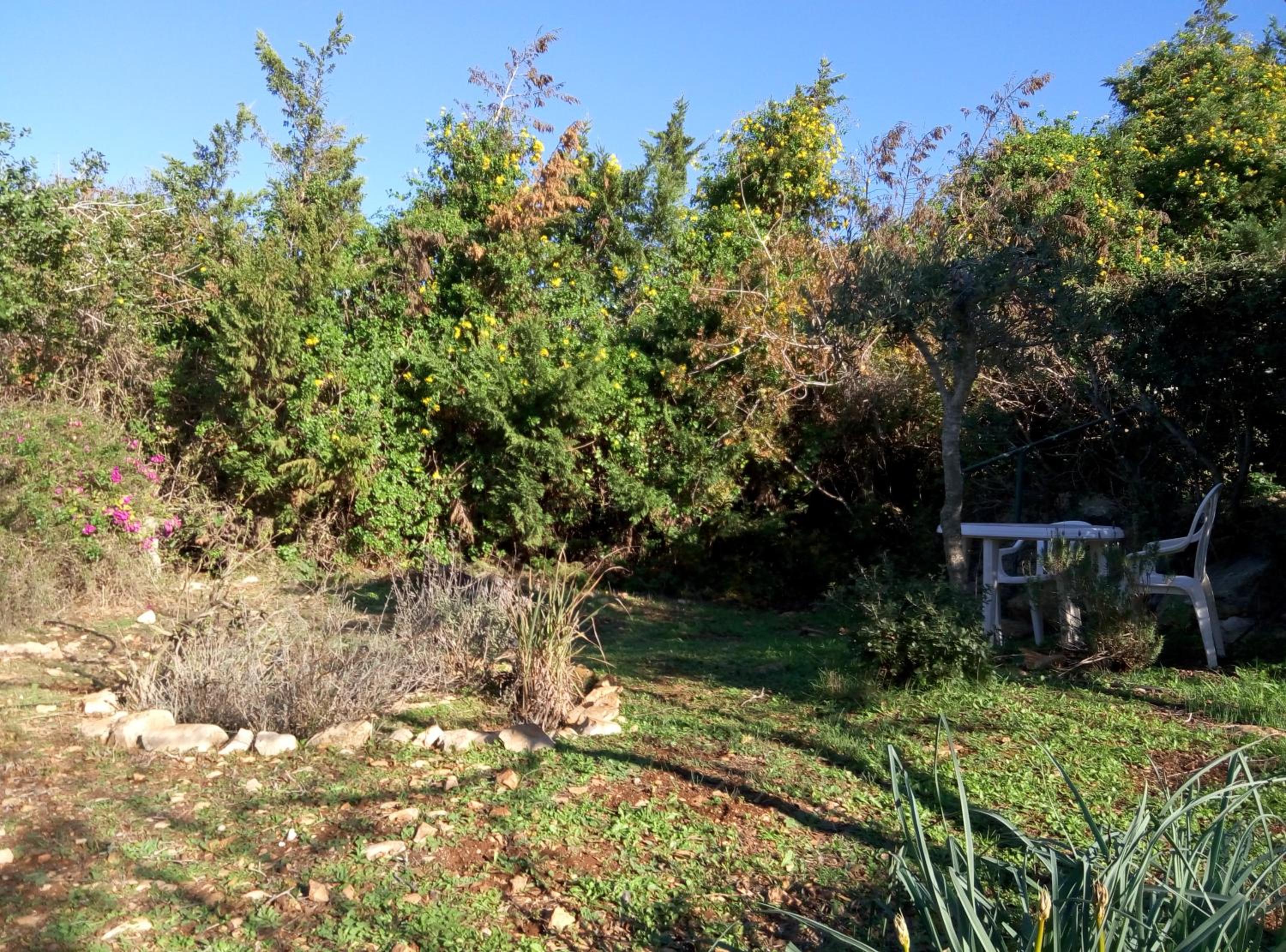 Photo 48