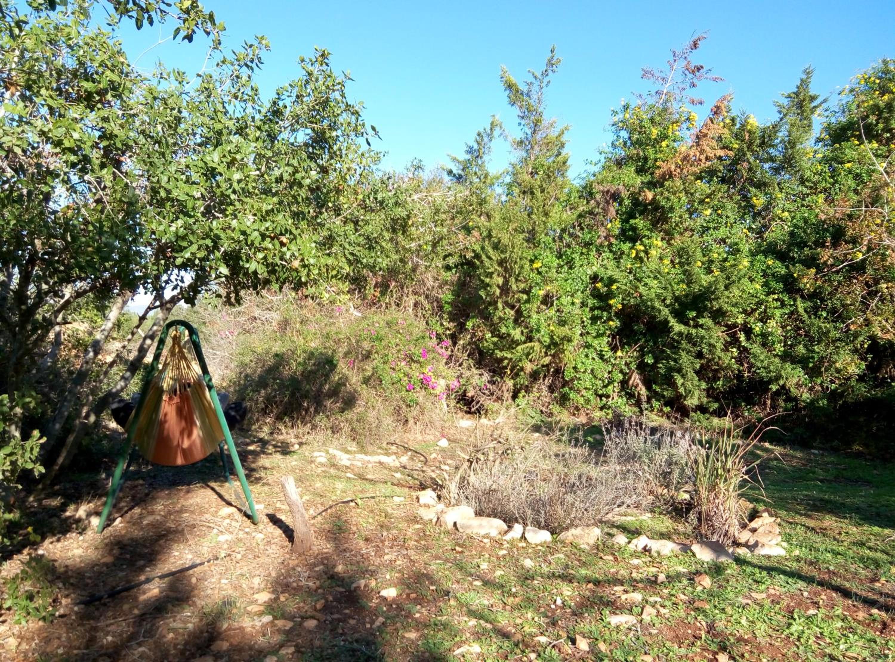 Photo 49
