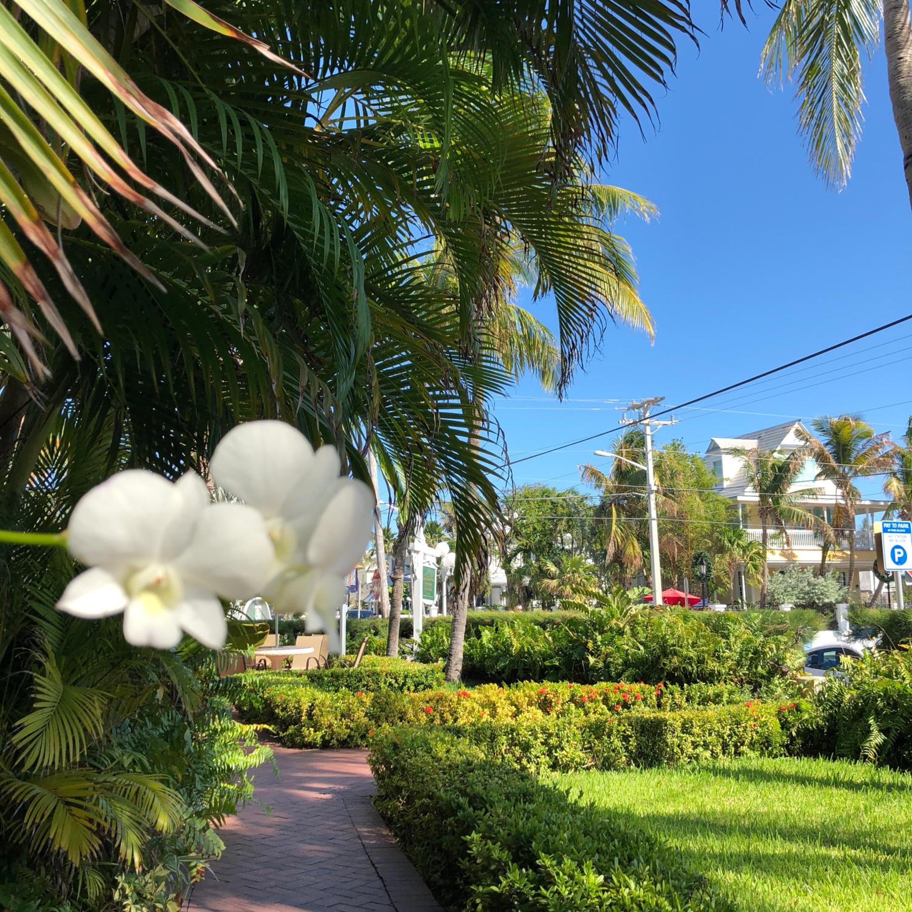 Southernmost Point Guest House & Garden Bar