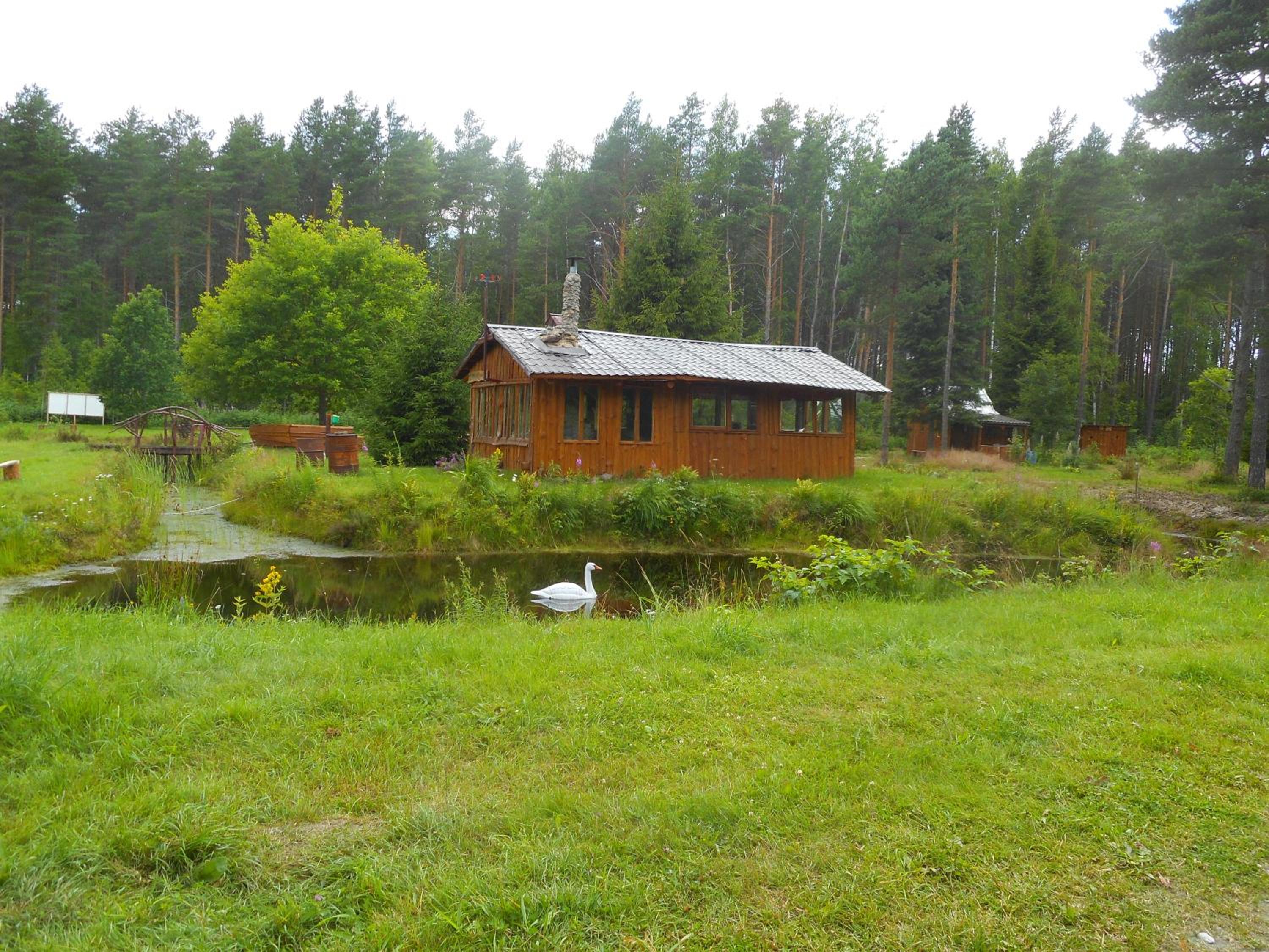 Photo 9