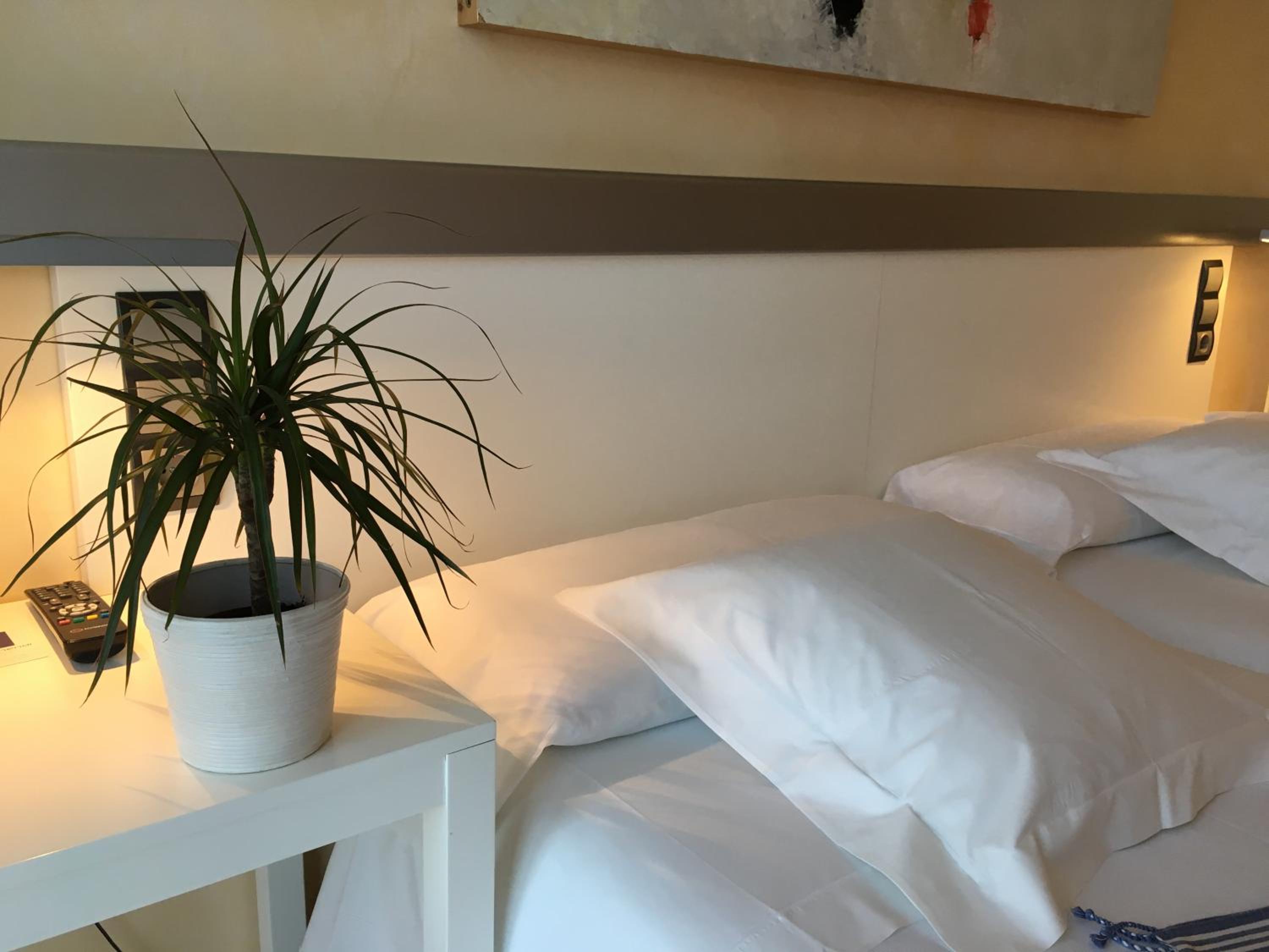 Hotel Nochendi, photo 7