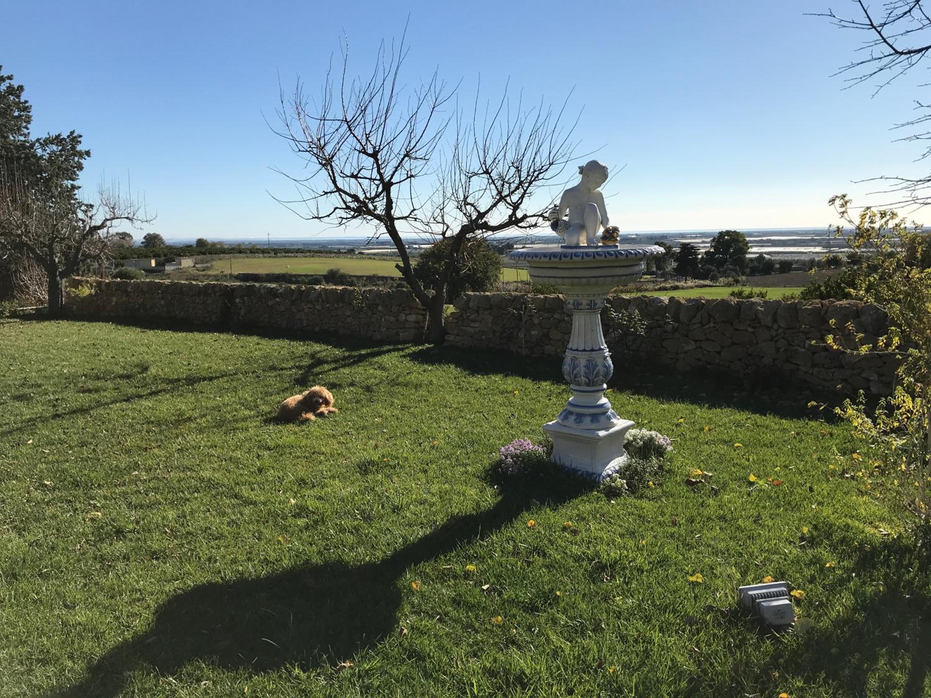 TRULLO del CAVALIERE delle GRAVINE view 4