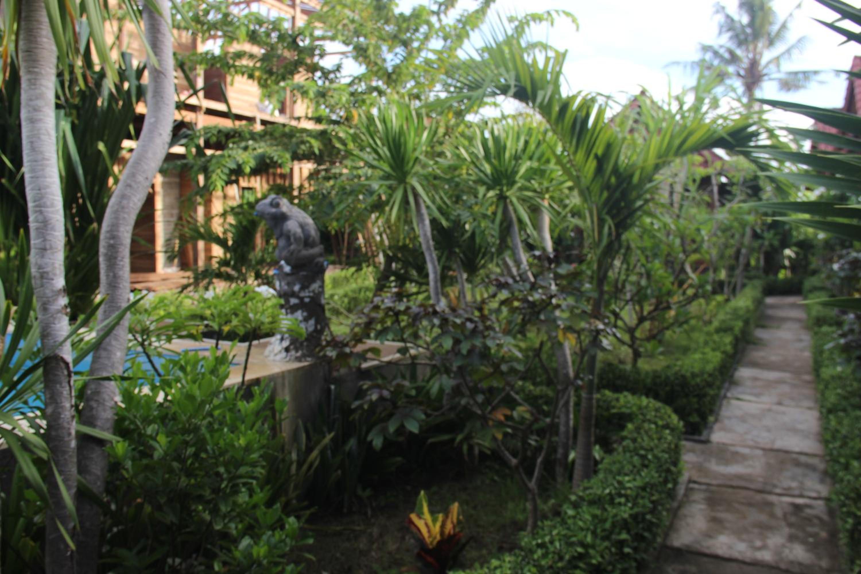 Photo 40