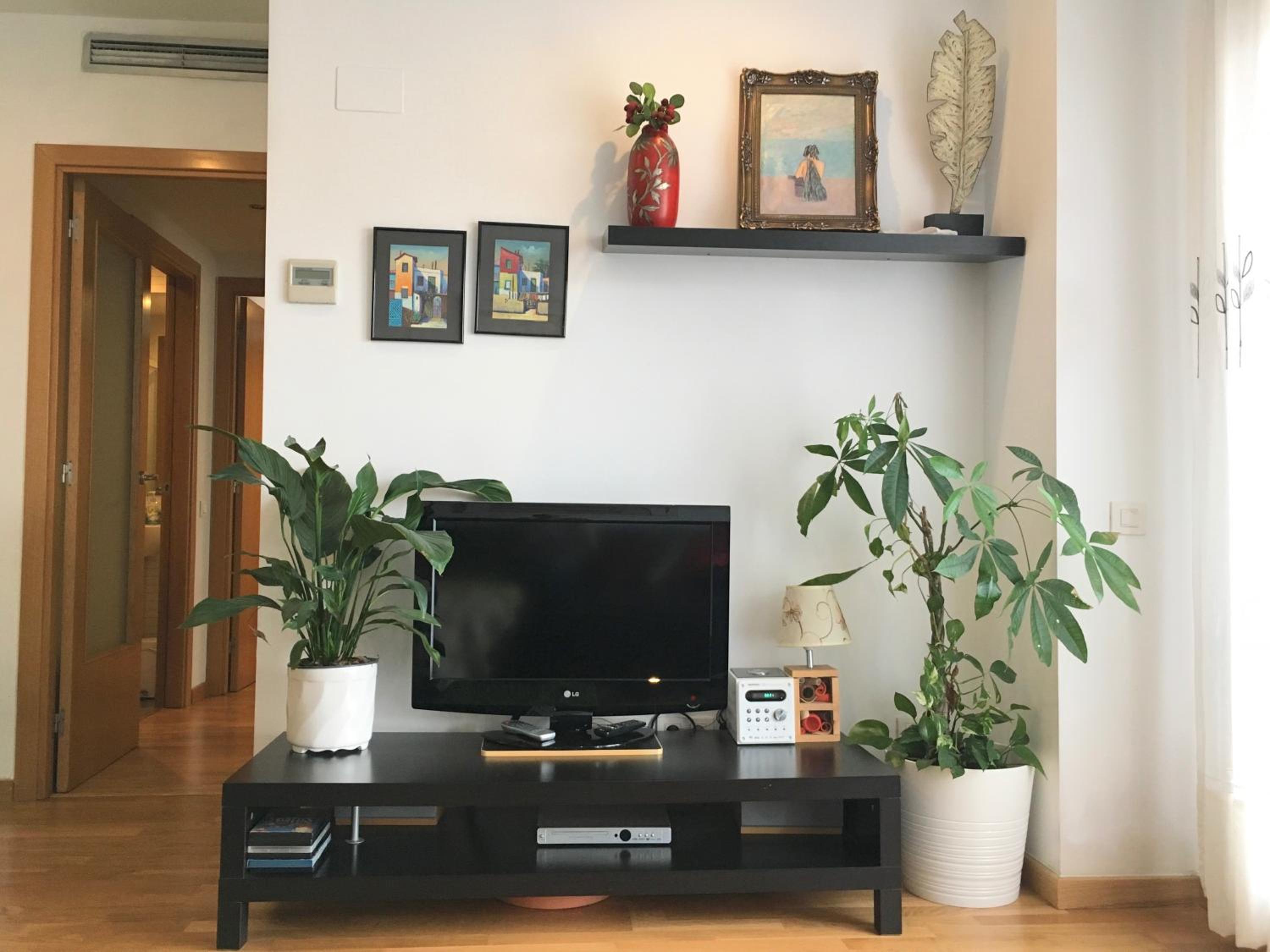 Apartment familiar