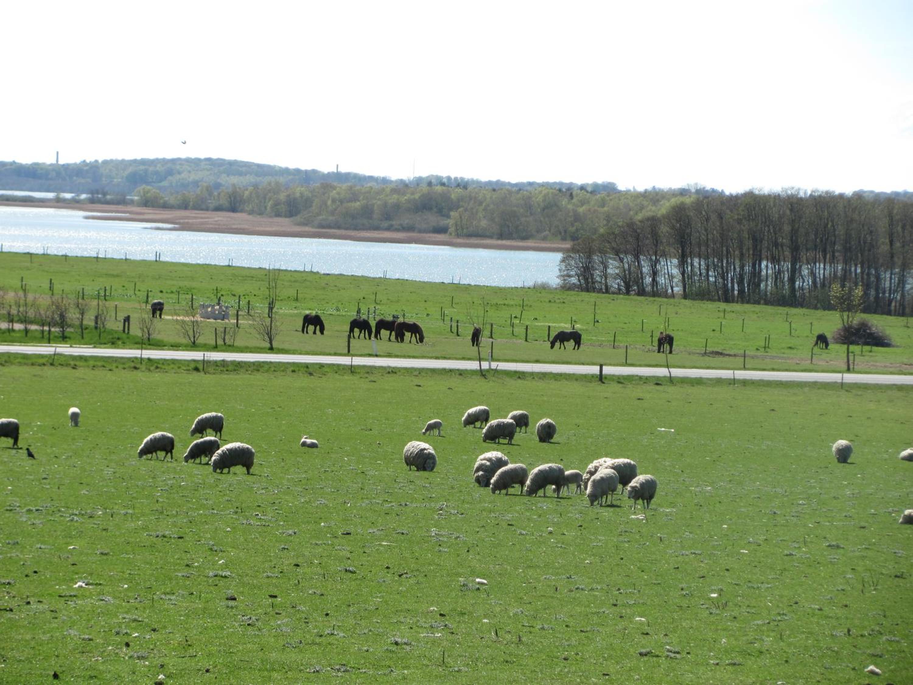 Tisvildehegn BandB view 3