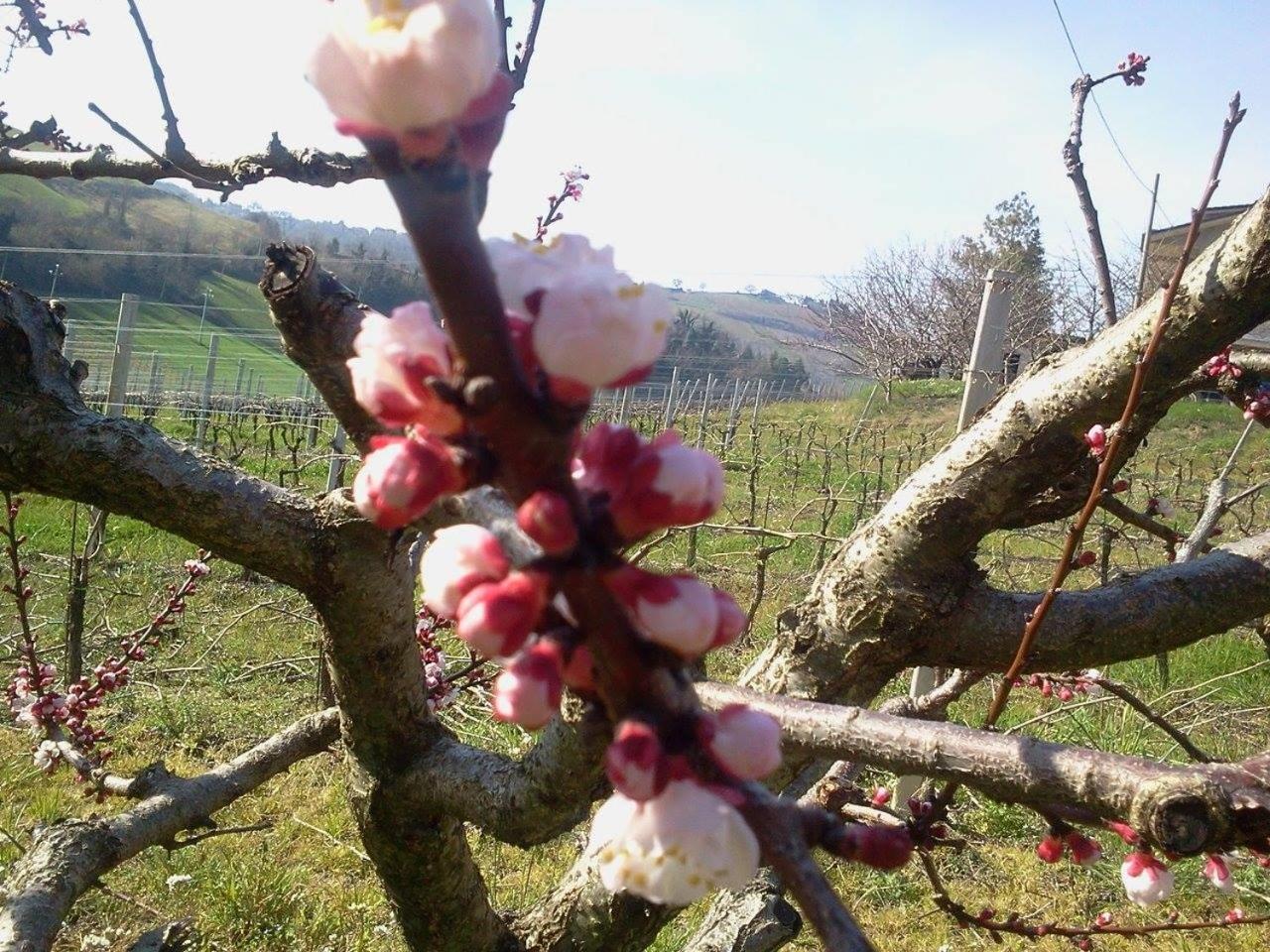 Casa Laura