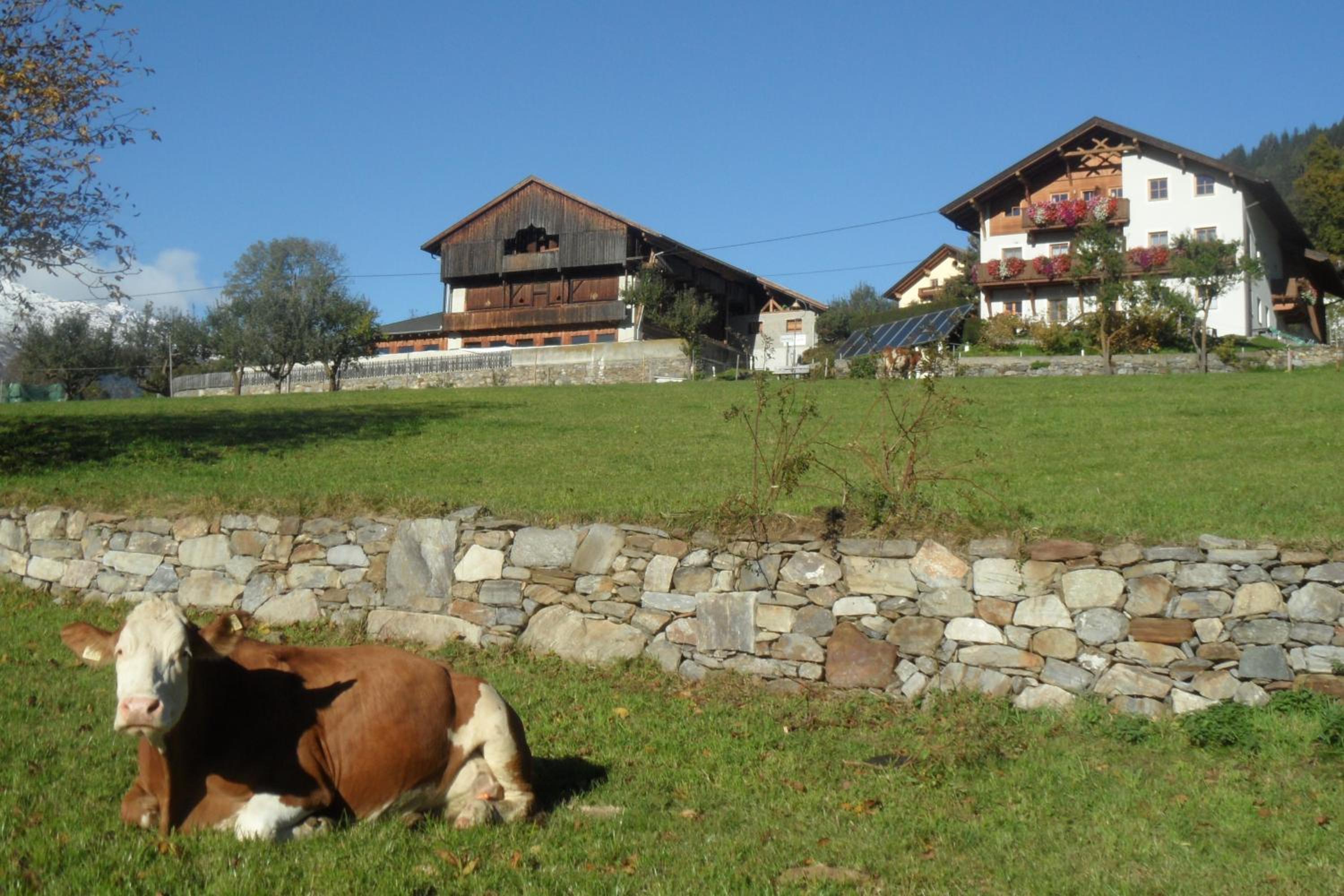 Moarhof