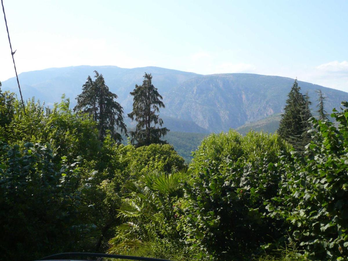 Appartement Cortal view 4