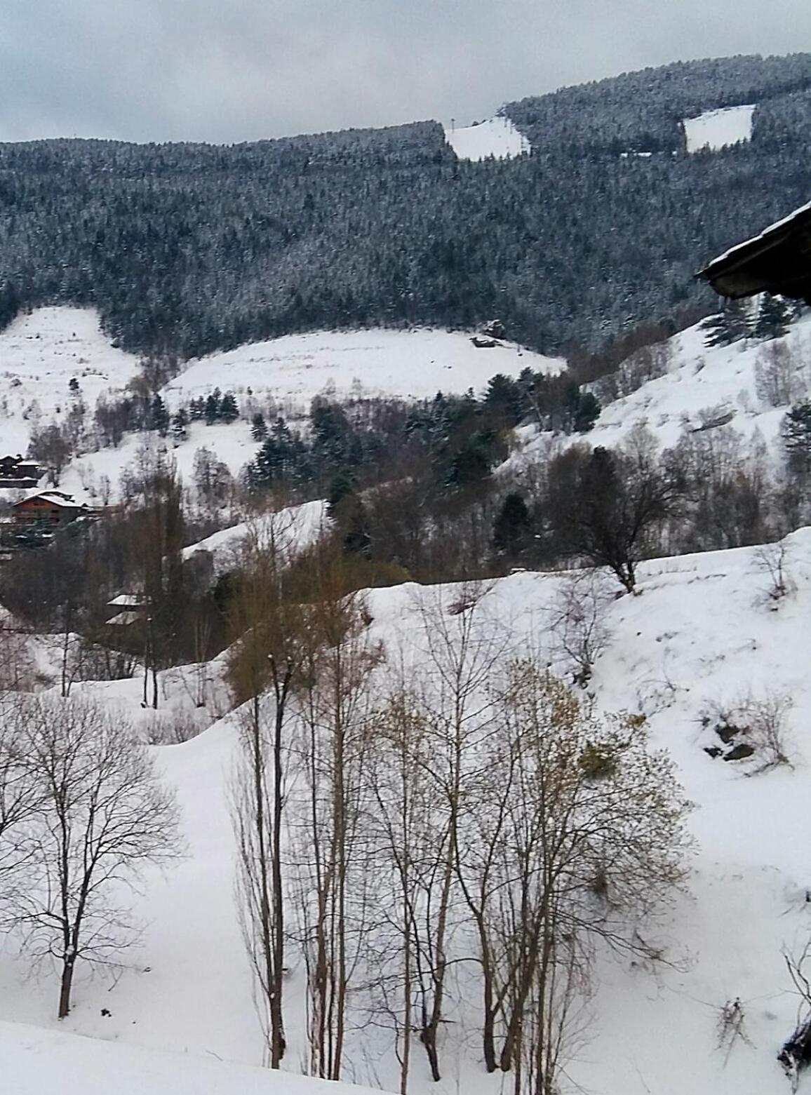 Apartaments Bonet