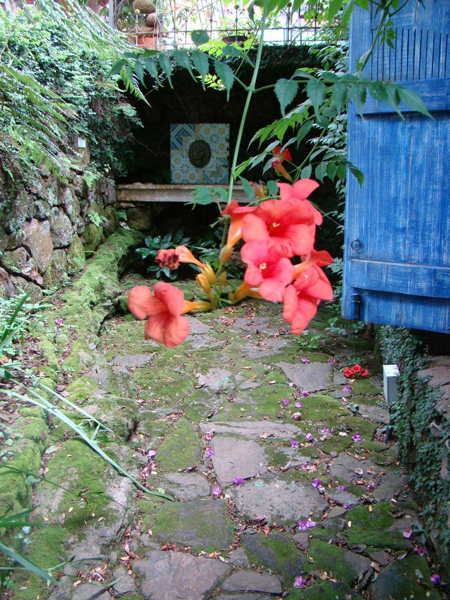 Villa do Arquiteto