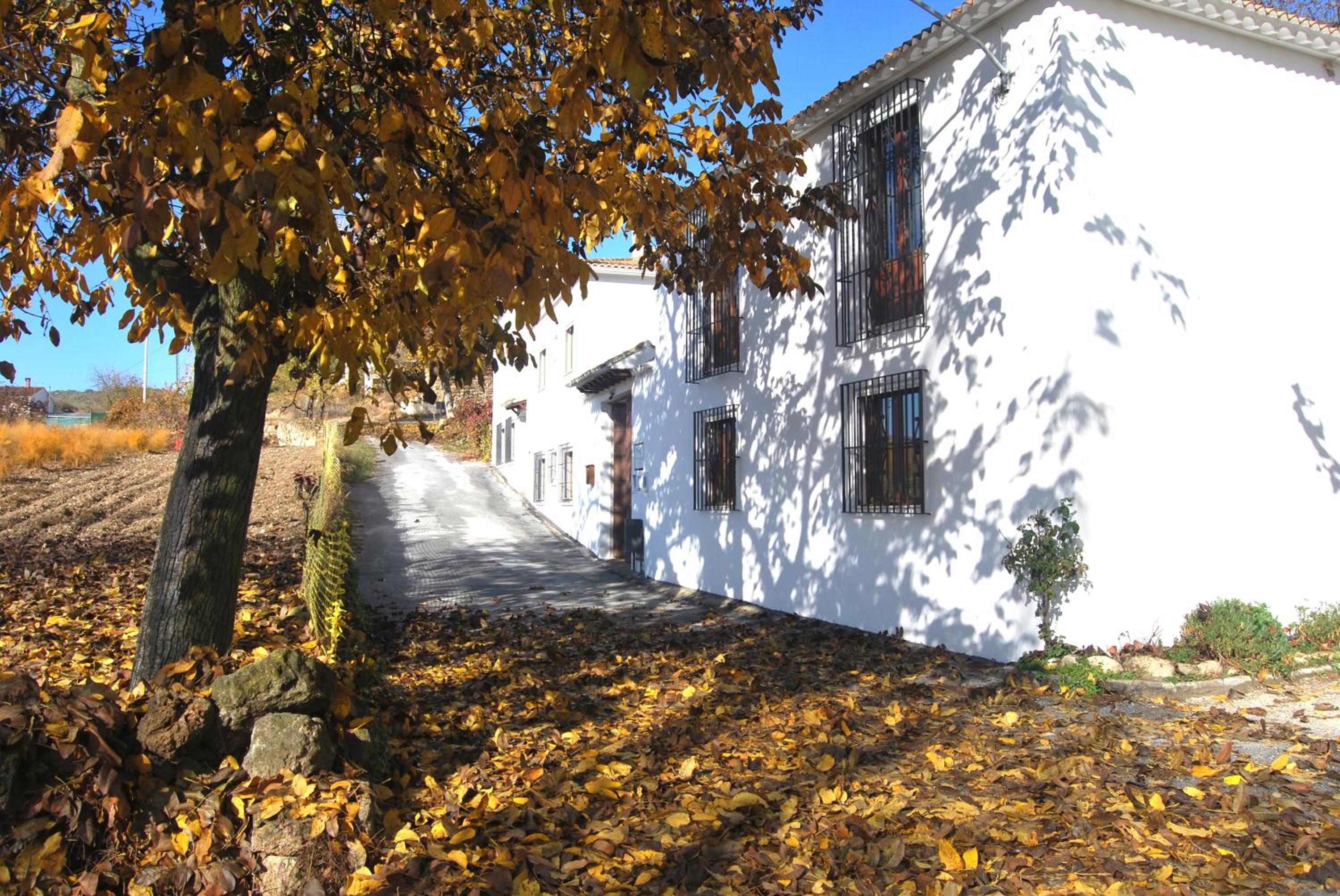 Photo 41