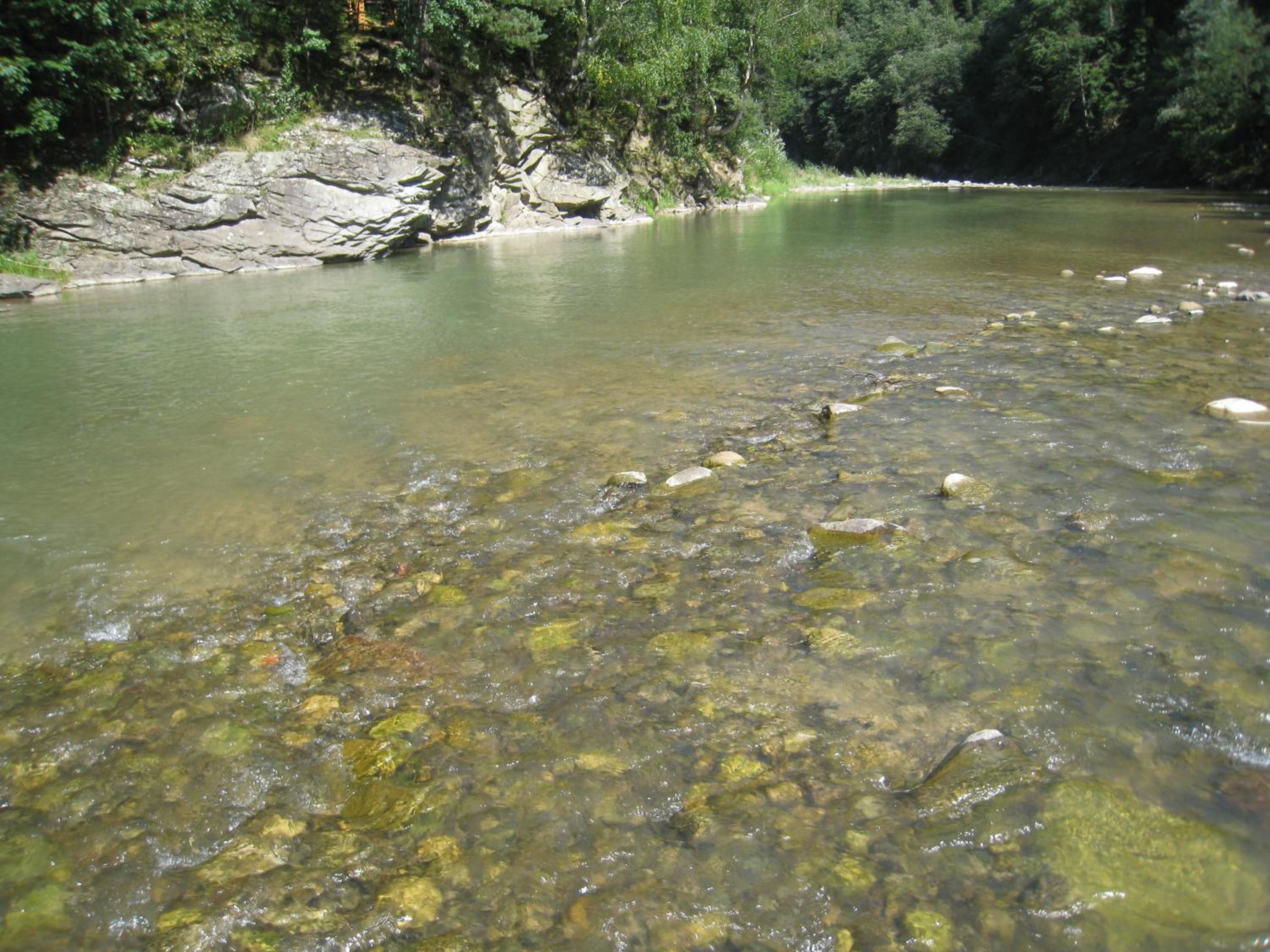 Photo 48