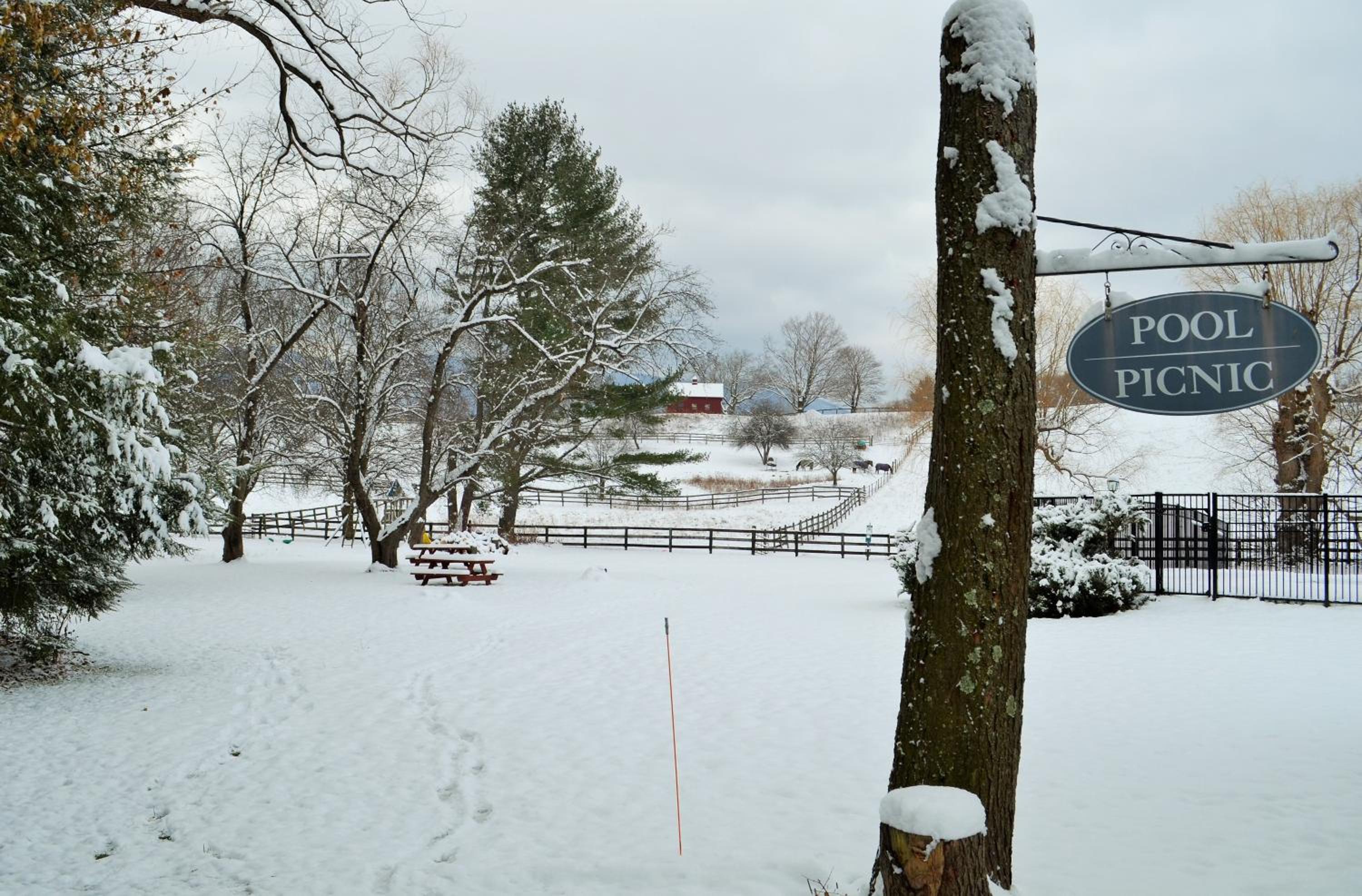 Maple Terrace Motel