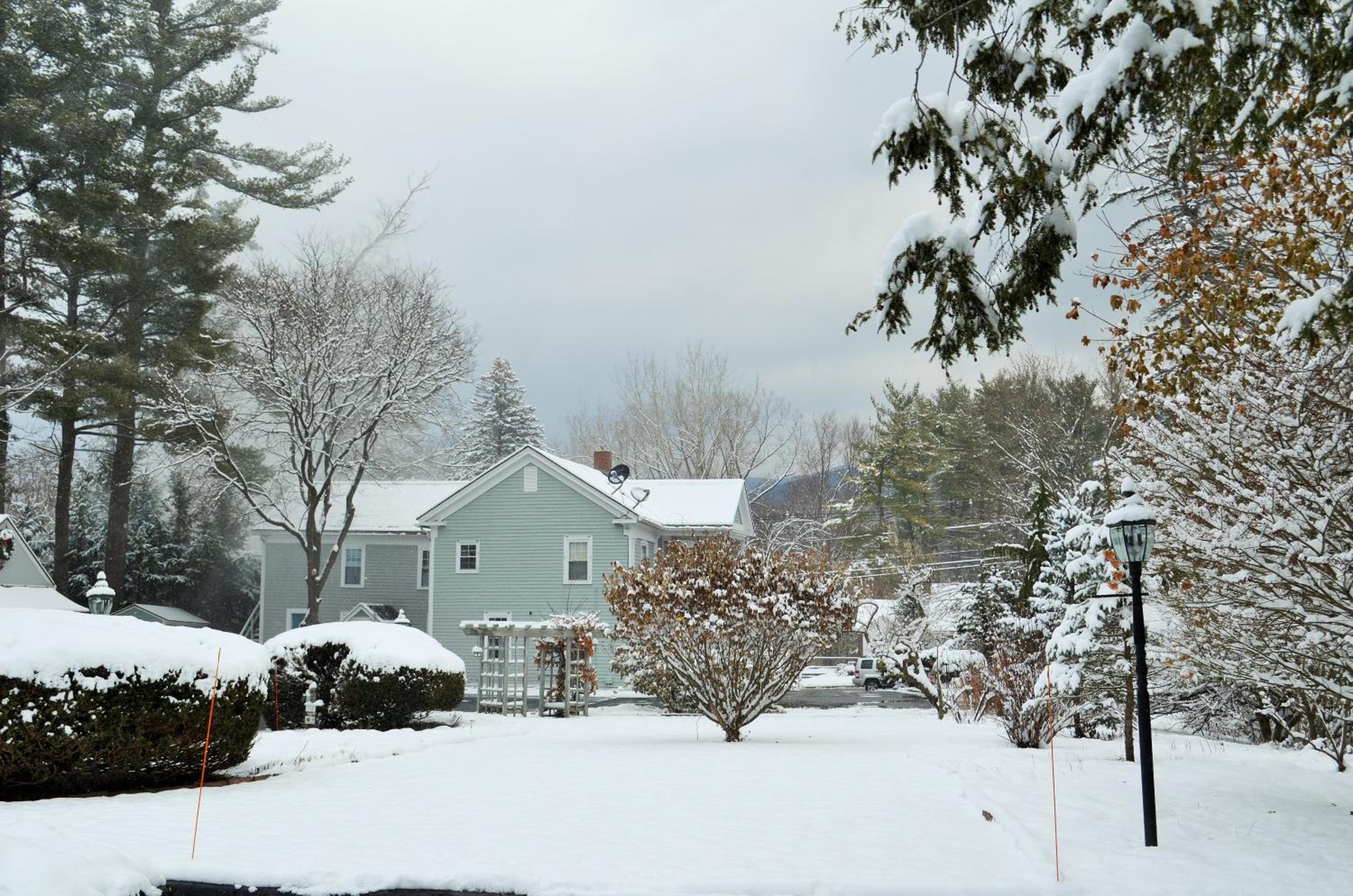 Maple Terrace Motel