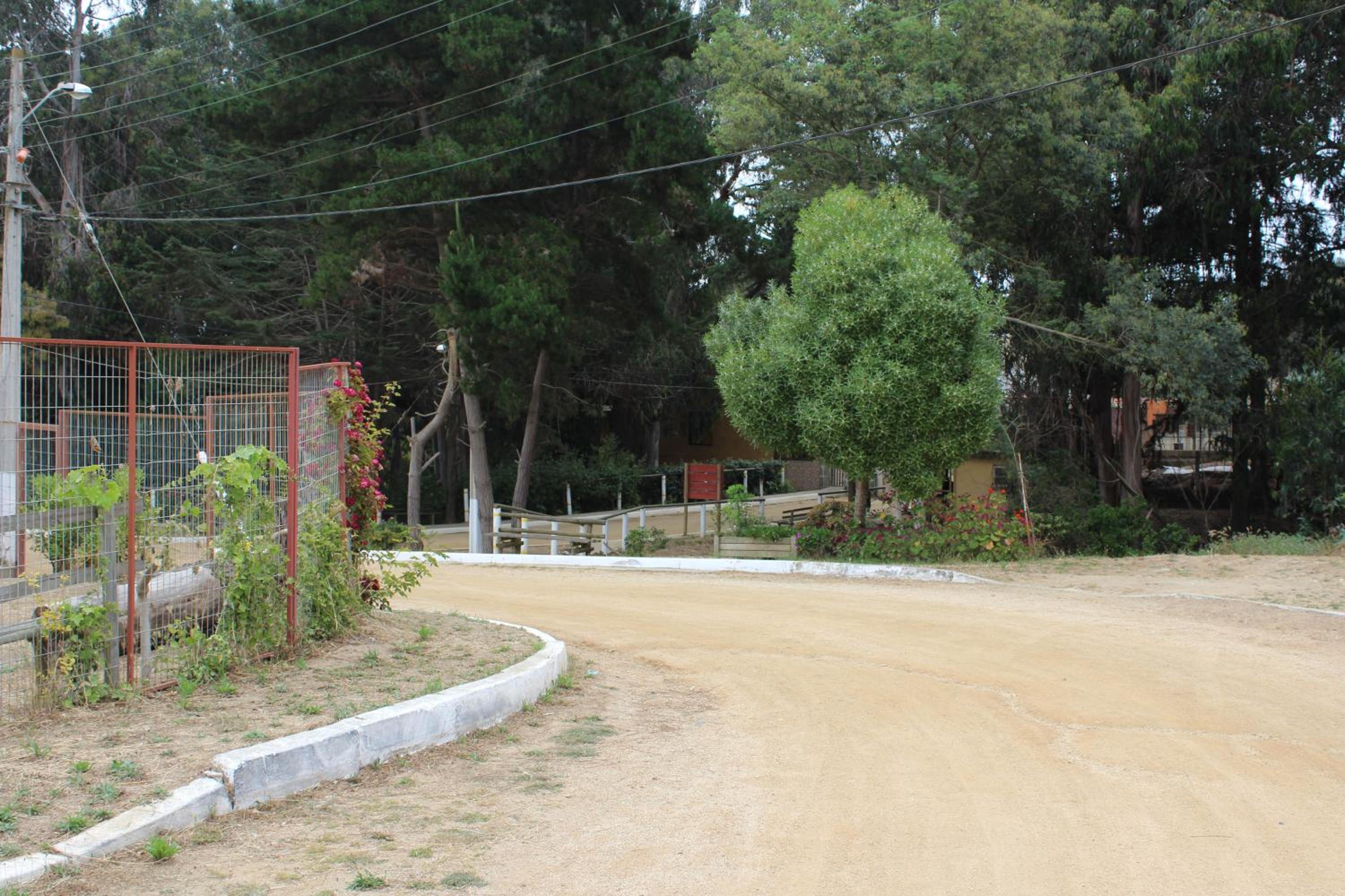 Casas Isla Negra