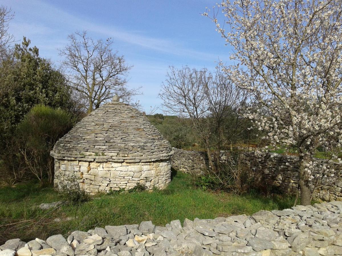 Photo 65