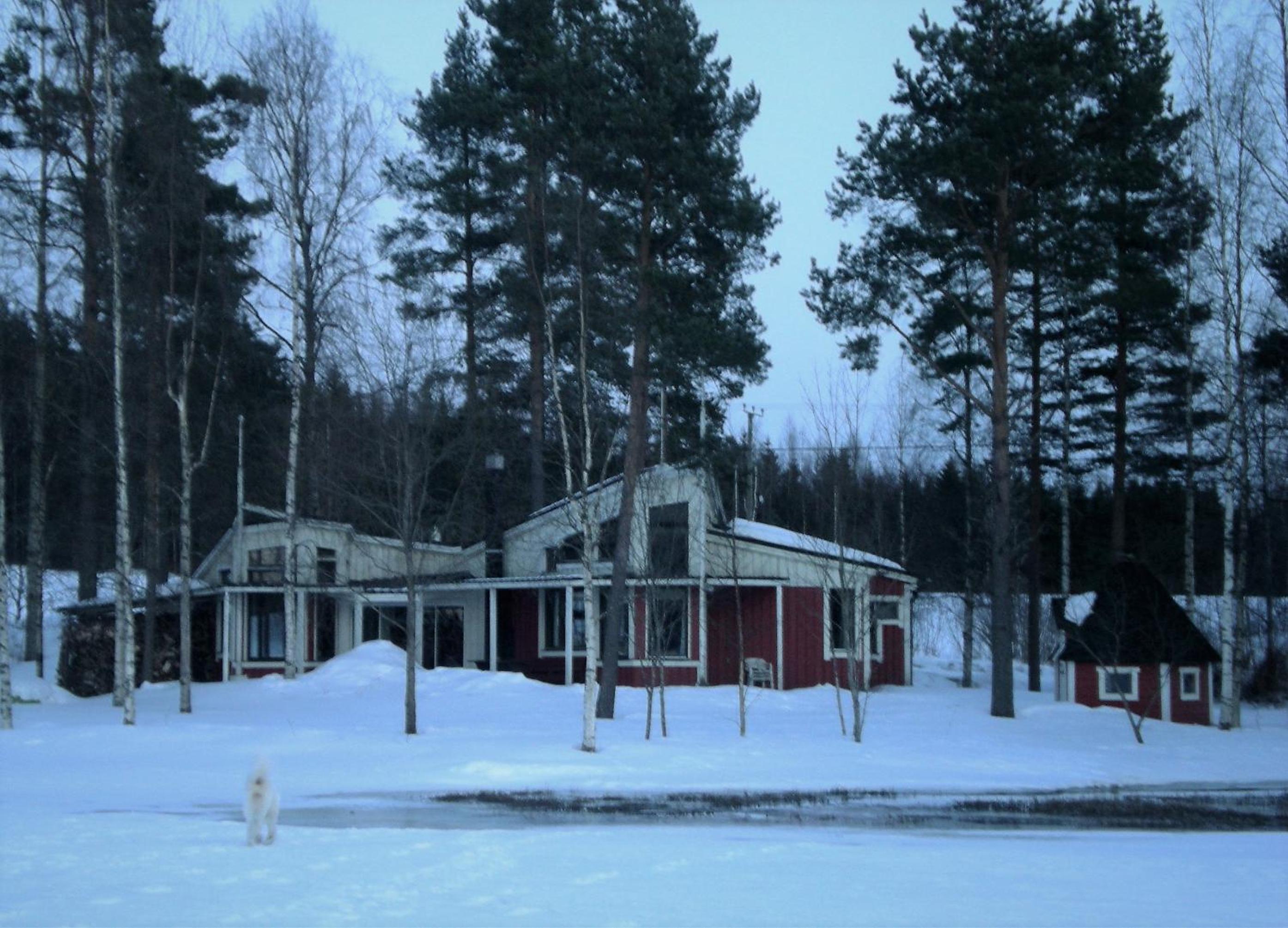 Lomakoivulehto view 5