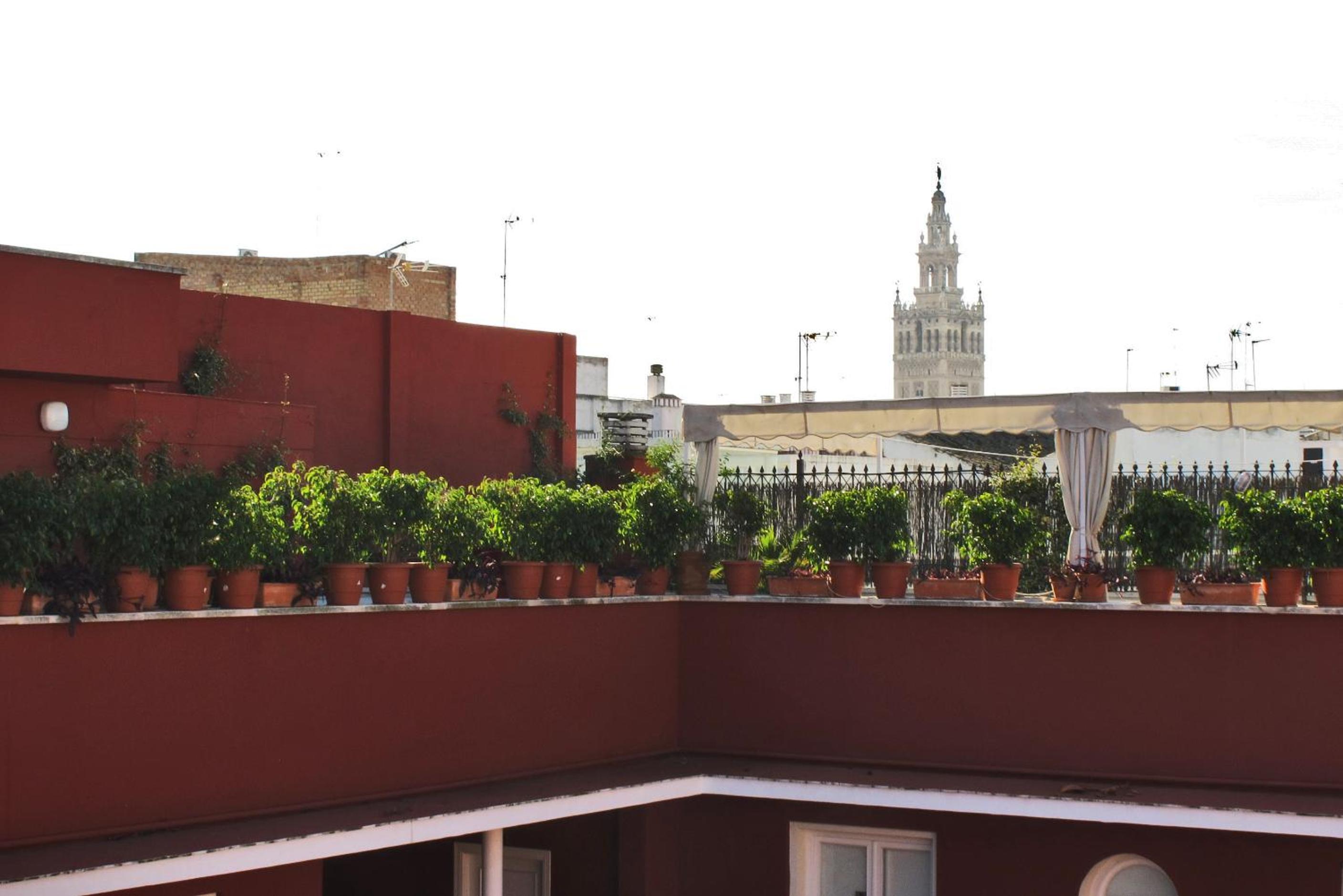 La Casa del Conde Ybarra view 3
