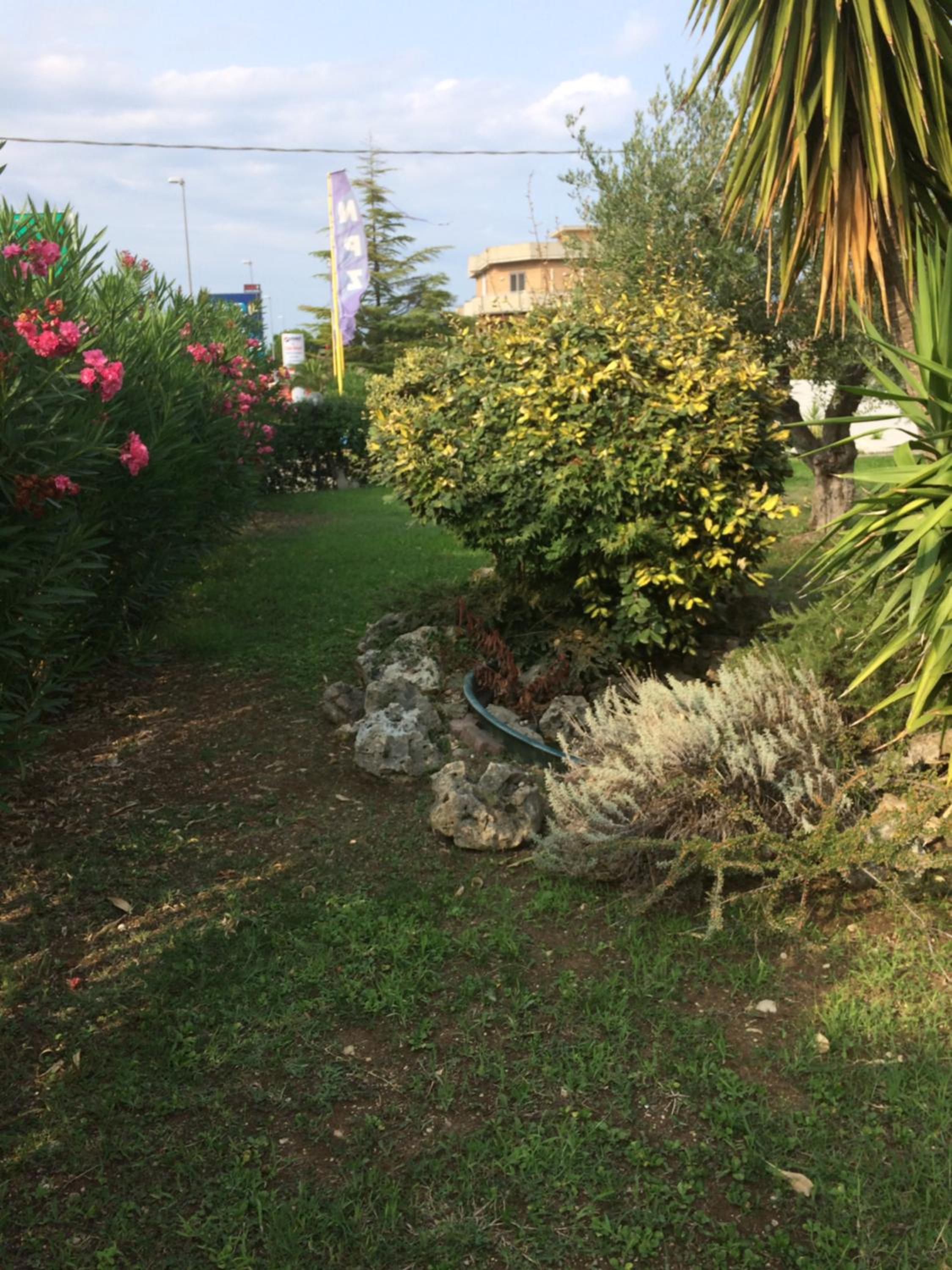 Photo 34