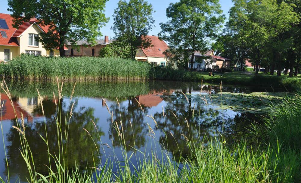 Ferienhaus Stolpe USE 1860 view 4