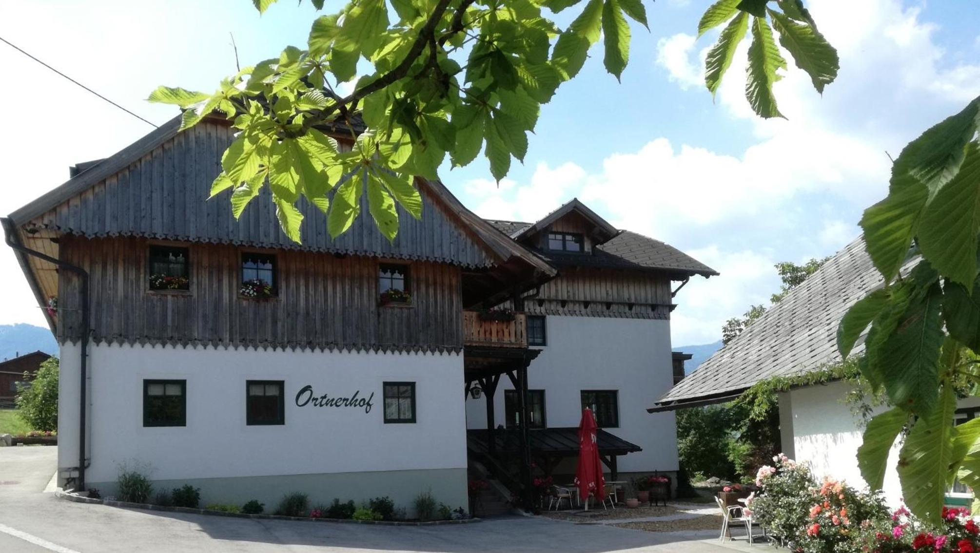 Ortnerhof Ennstal