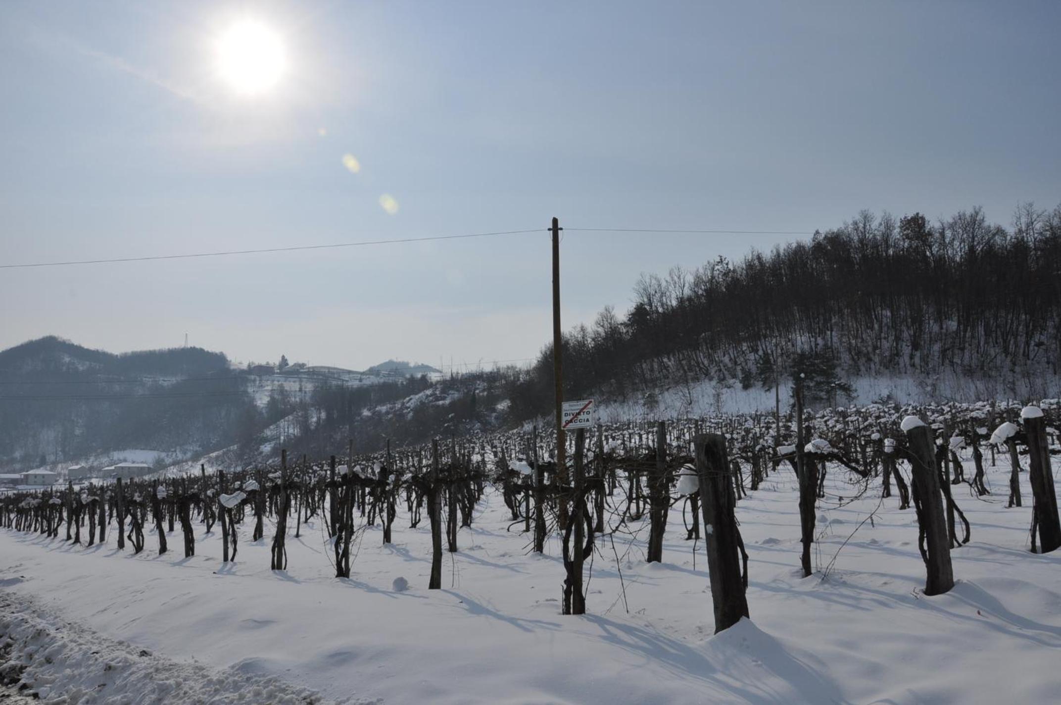 Agriturismo Tenuta Antica