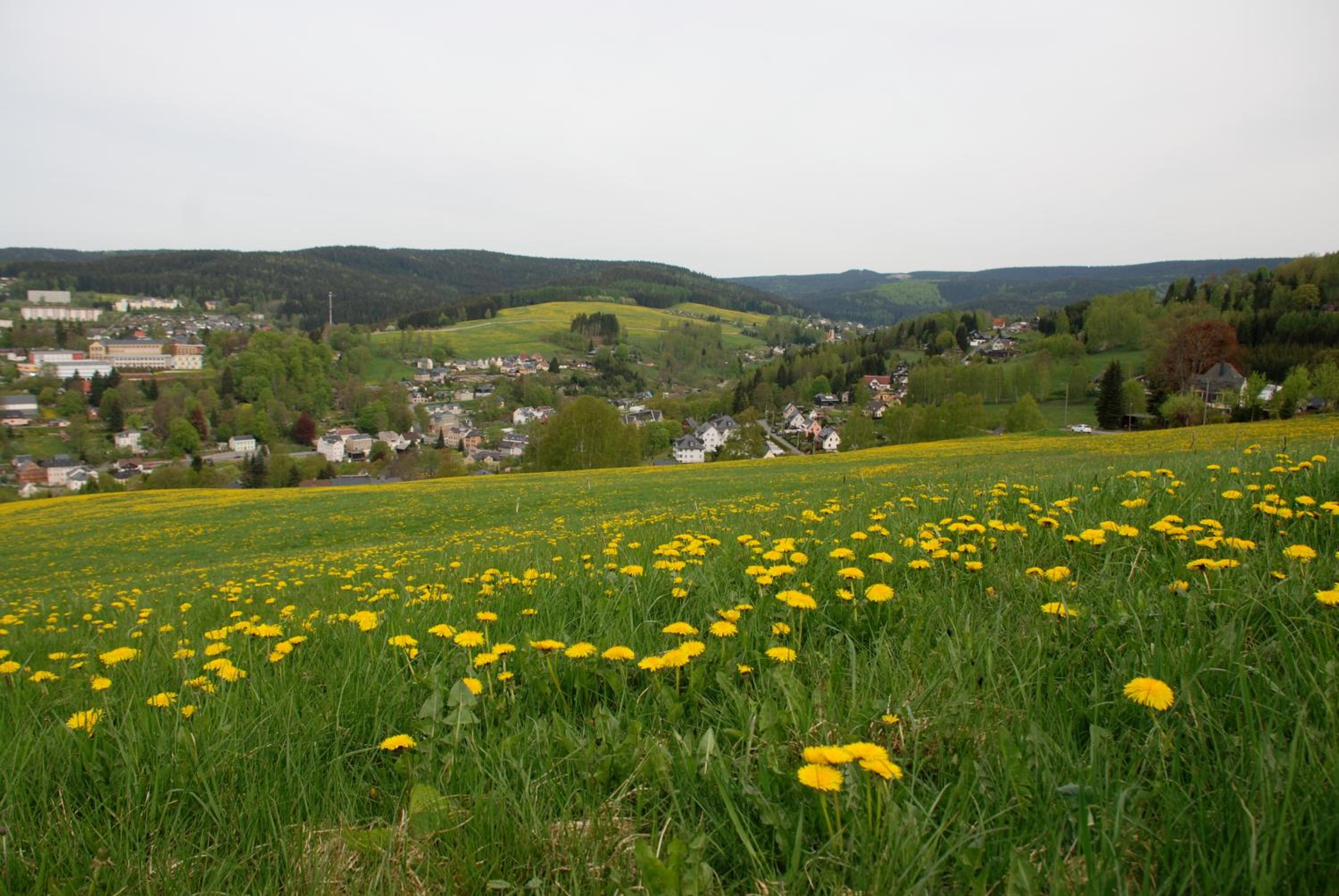 Ferienwohnung Kornerberg - Property Image 31