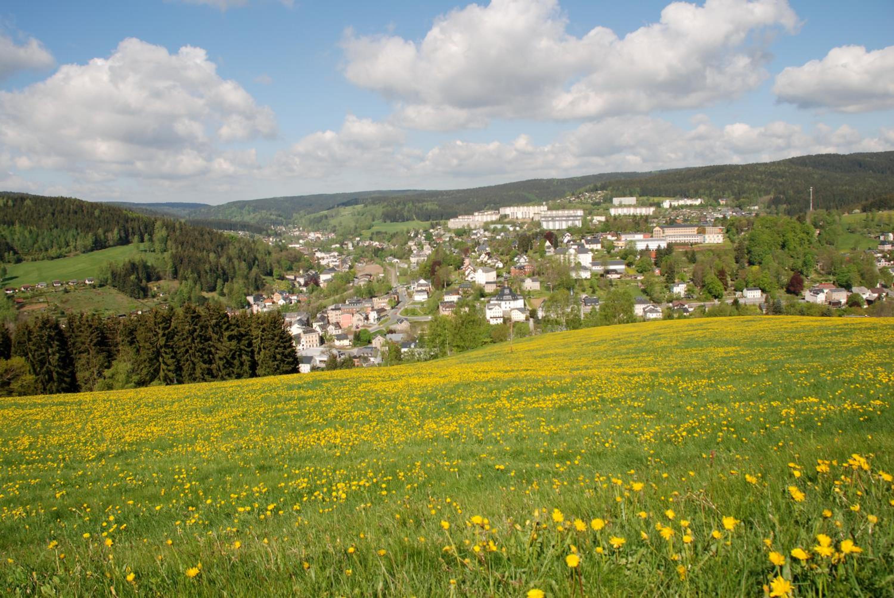 Ferienwohnung Kornerberg - Property Image 11