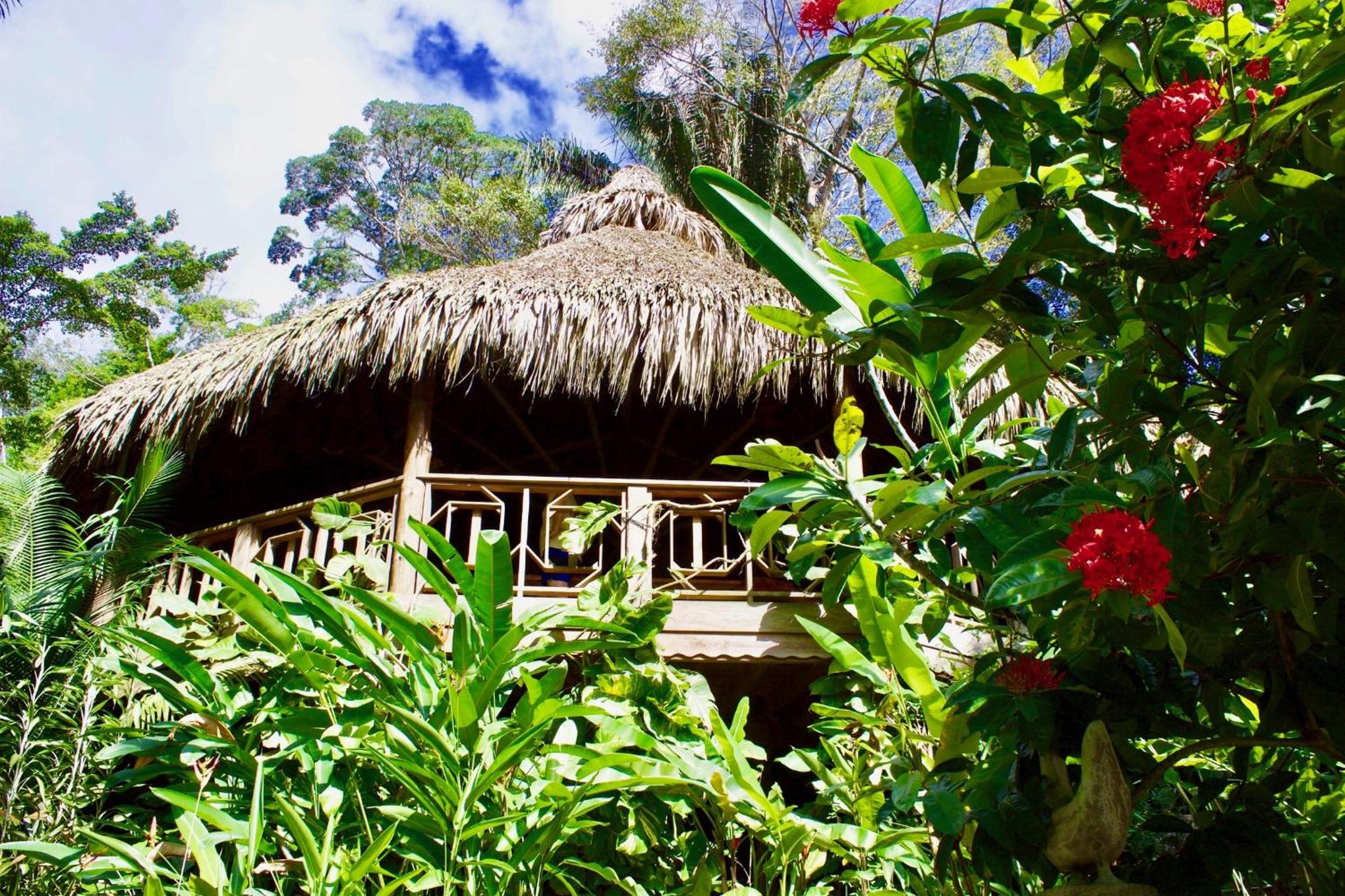 Villas Pico Bonito