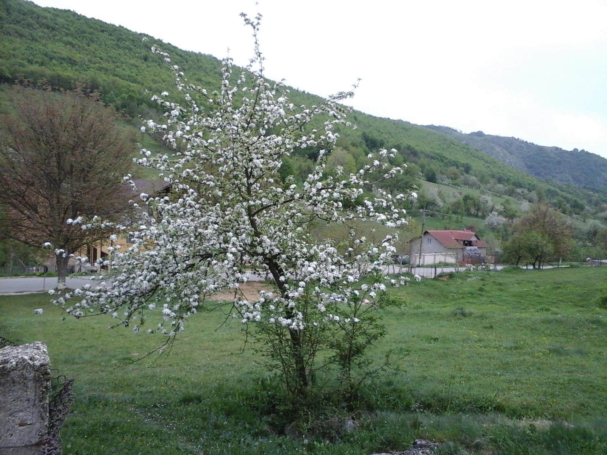Photo 29