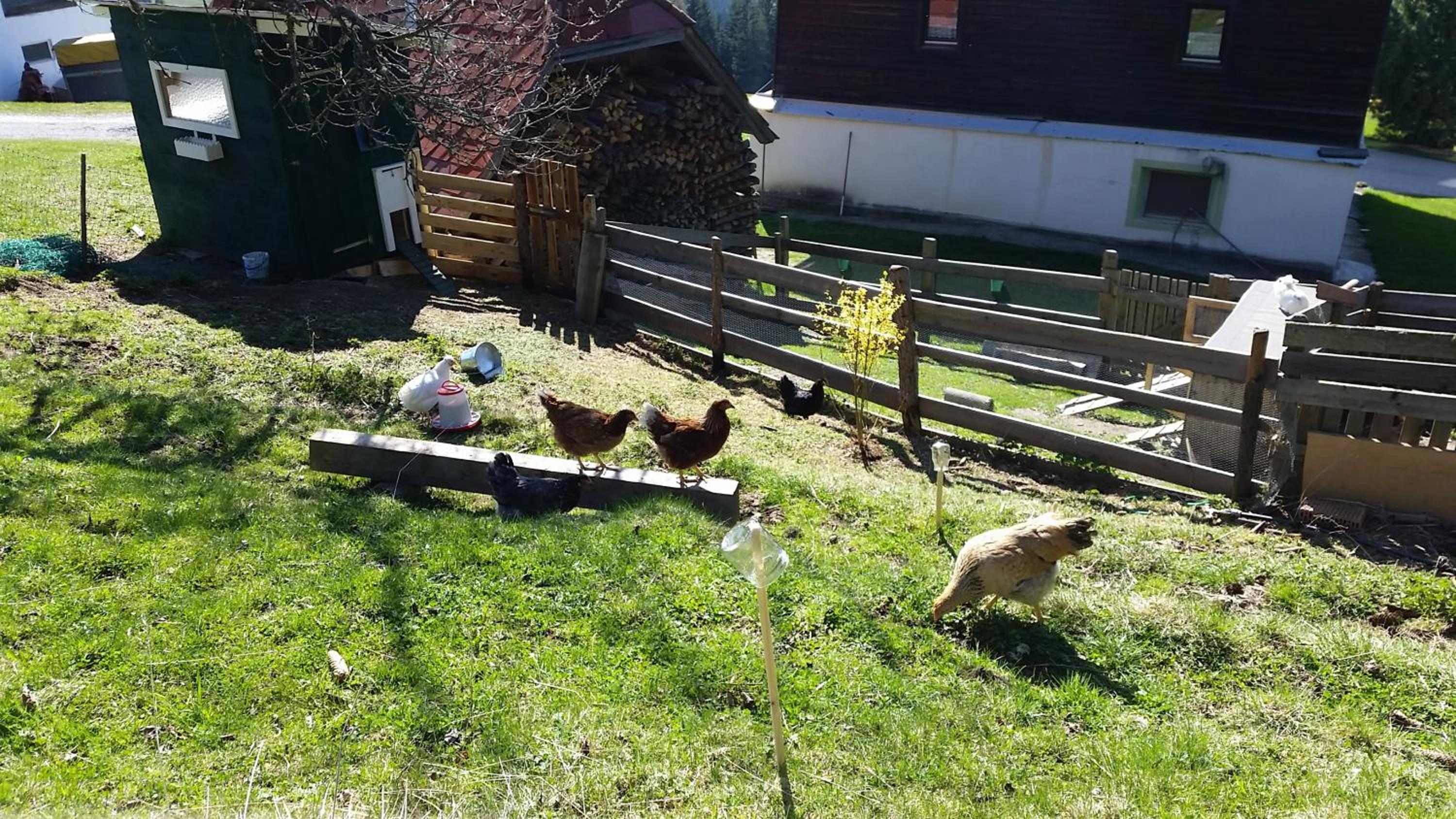 Biohof Stockreiter vulgo Grillschmied
