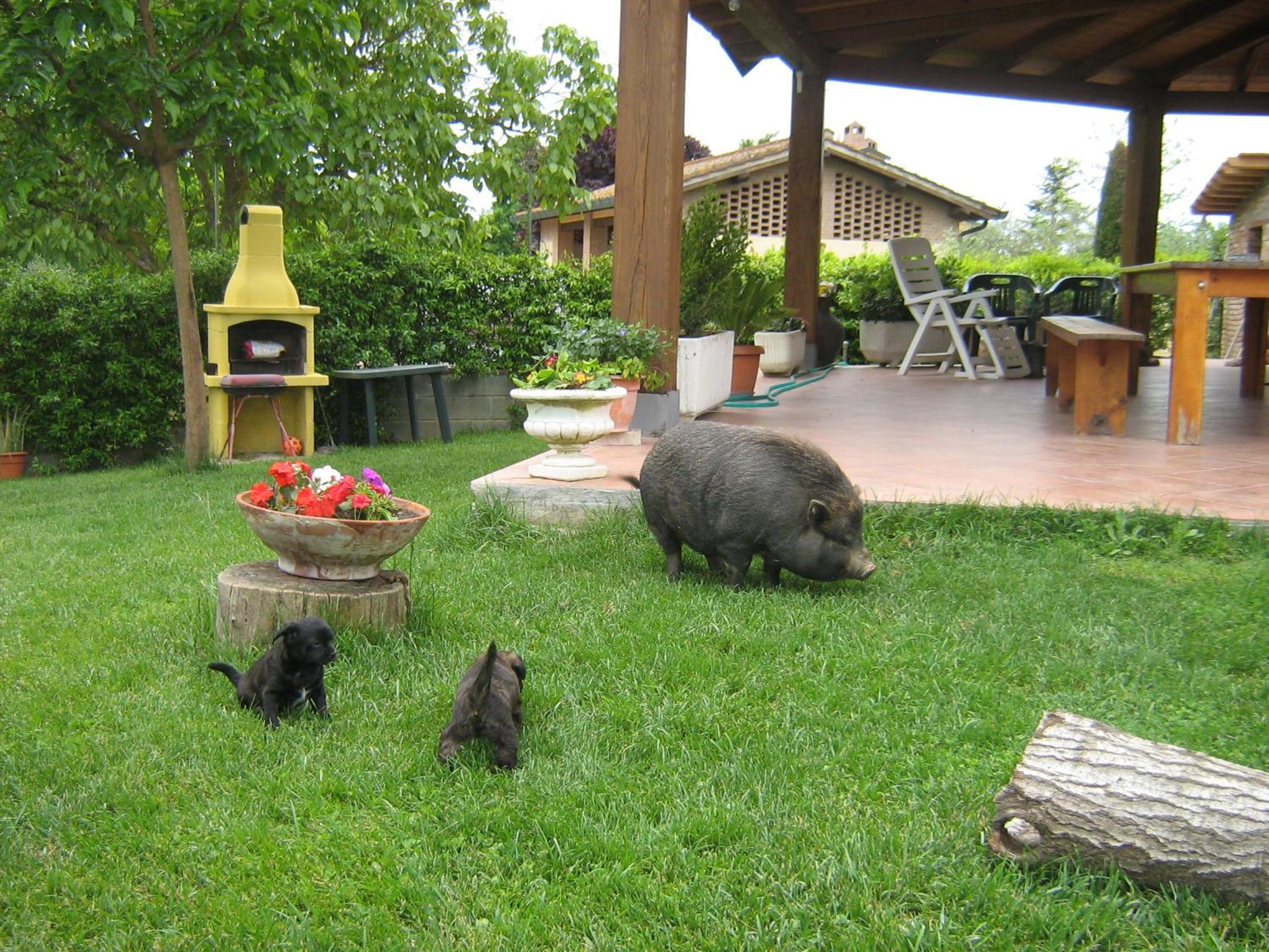 Photo 54