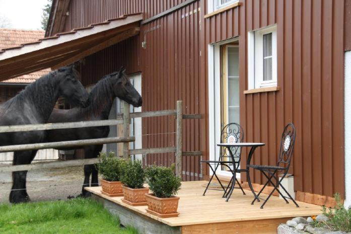 BnB Haag