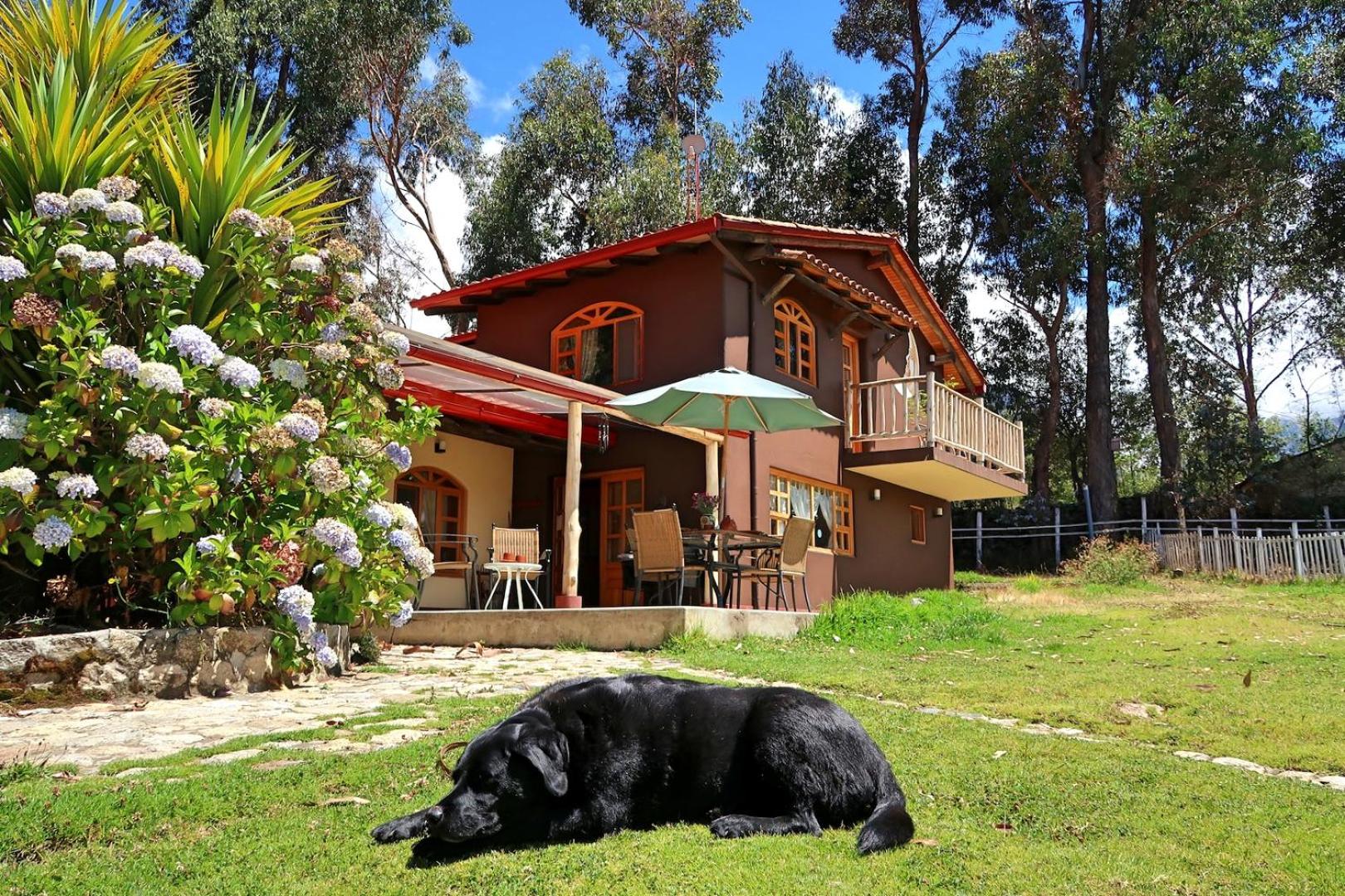 The Lazy Dog Inn a Mountain Lodge view 2