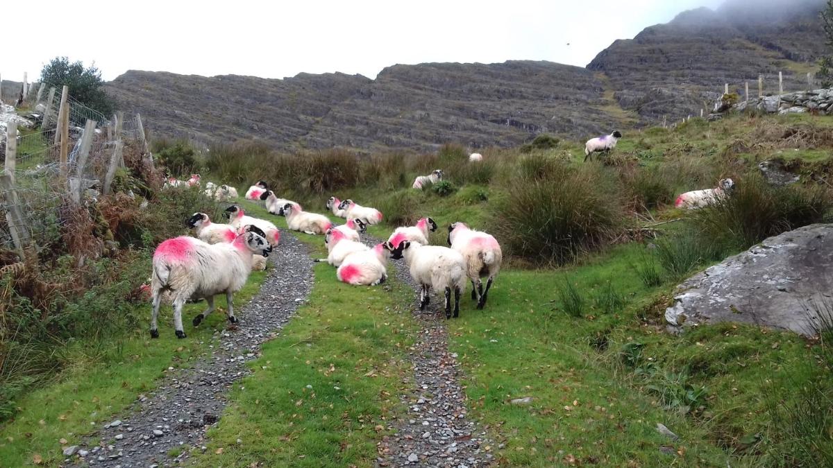 Photo 18