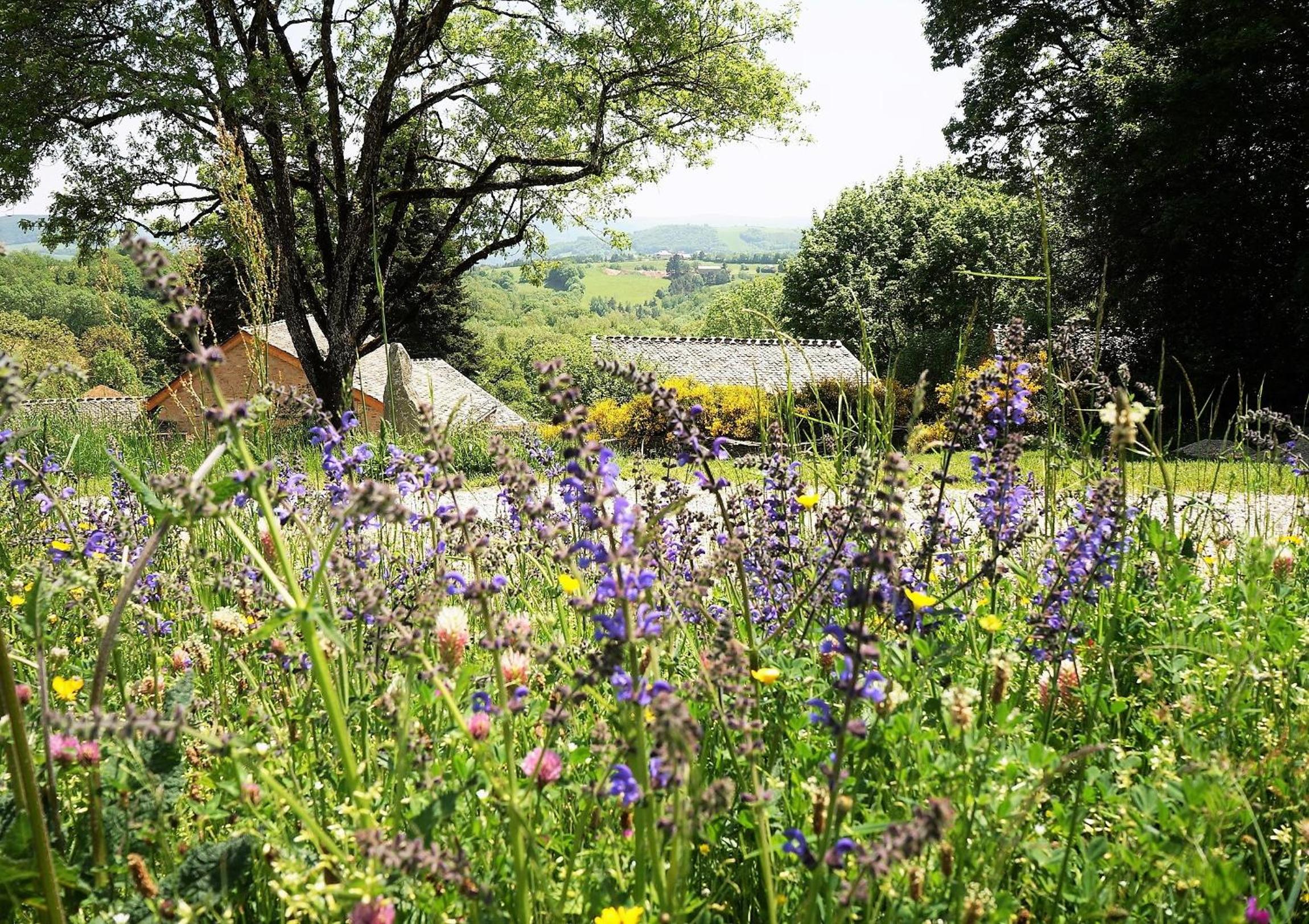 Domaine des Maréquiers chambre Pimprenelle view 3