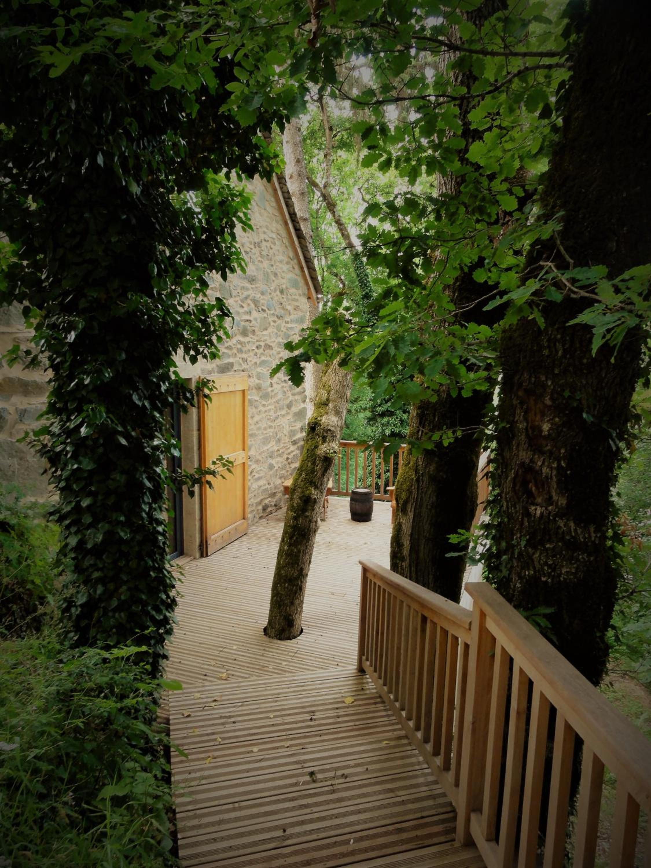 Photo 13