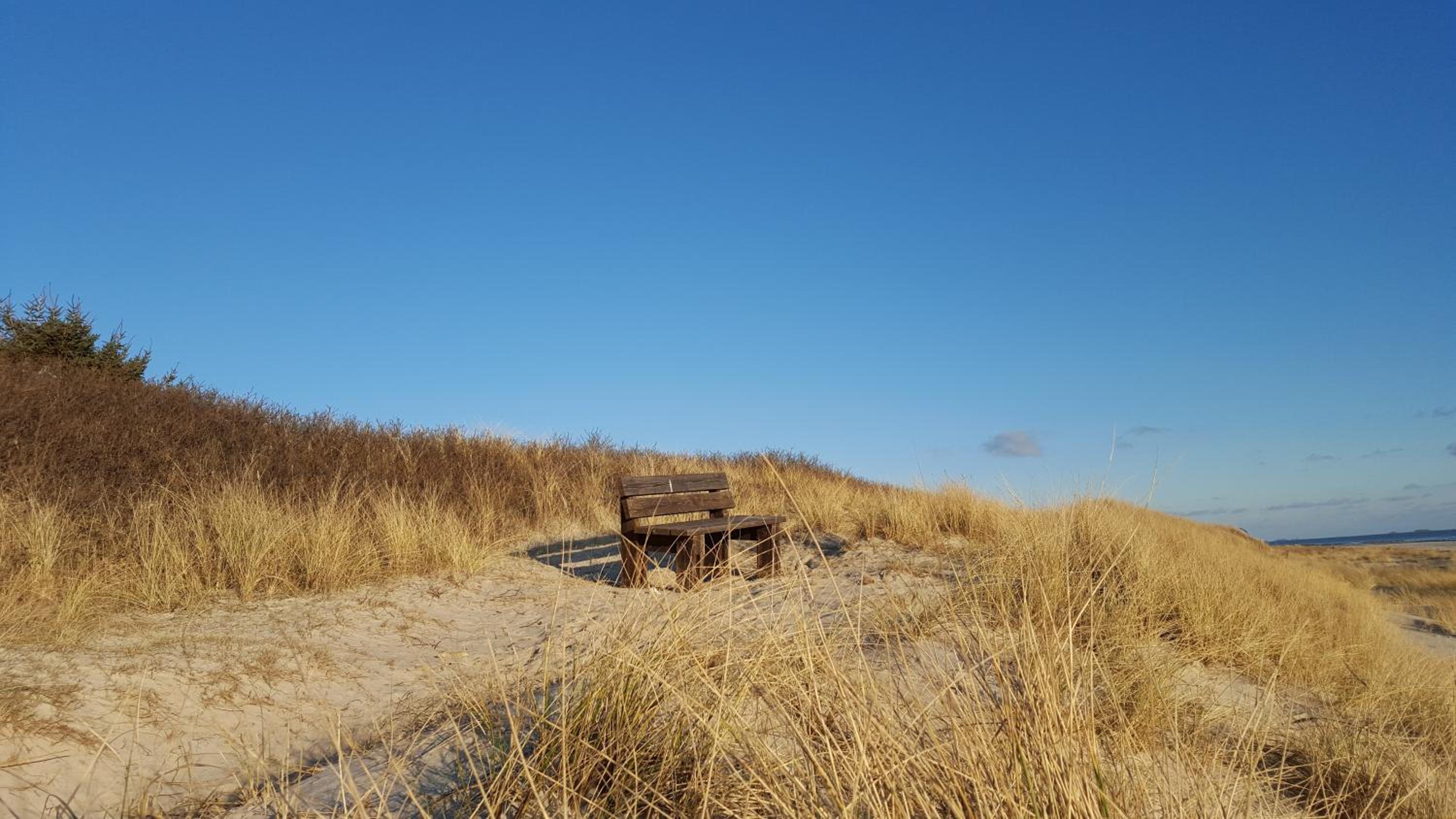 Föhrer Nordseetraum view 5