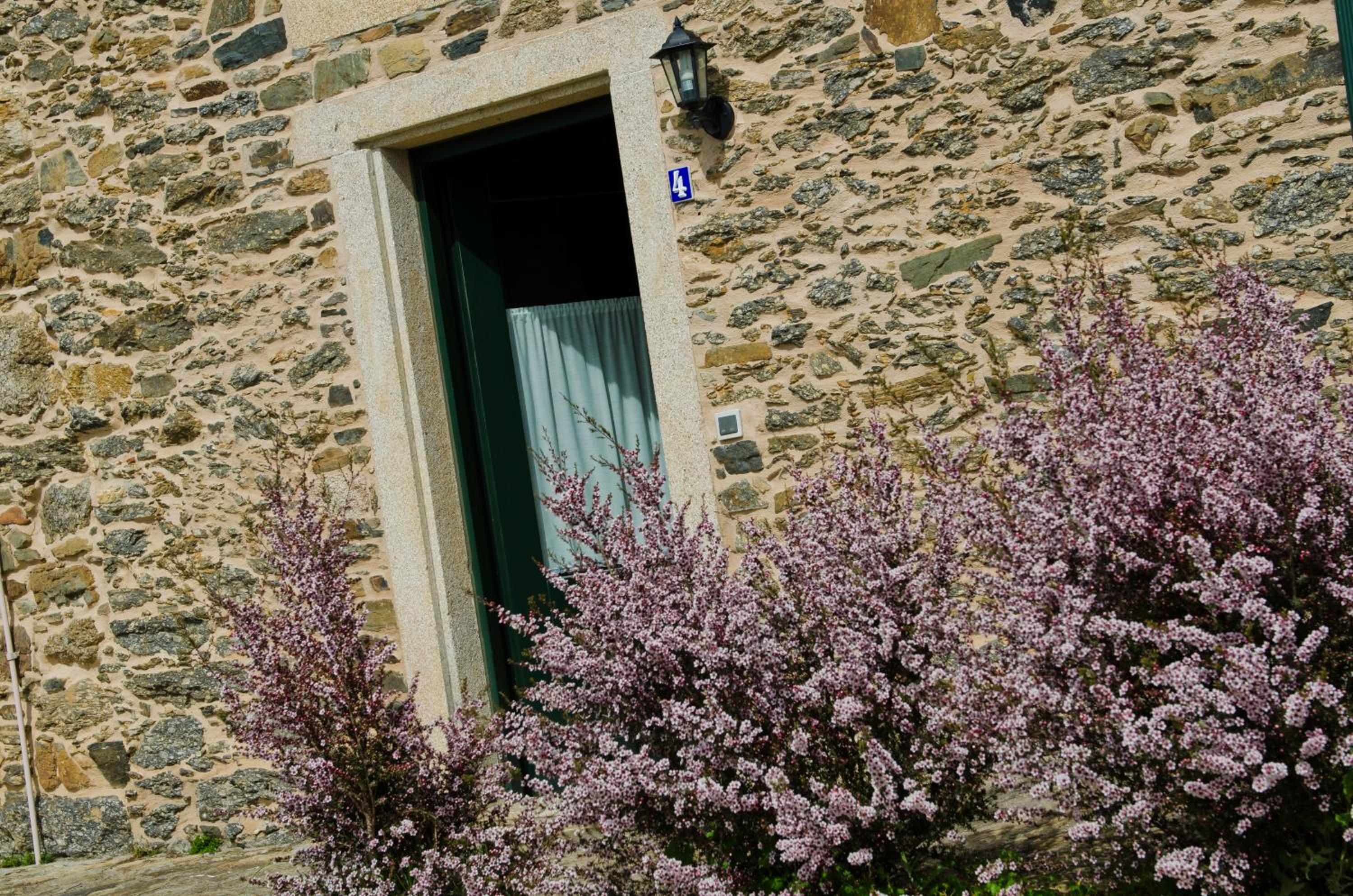Naturlar Casa Teillor