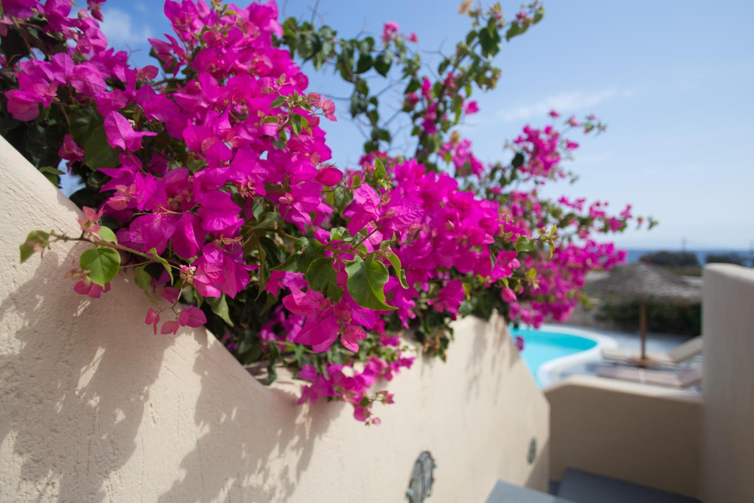 Theros Houses Santorini
