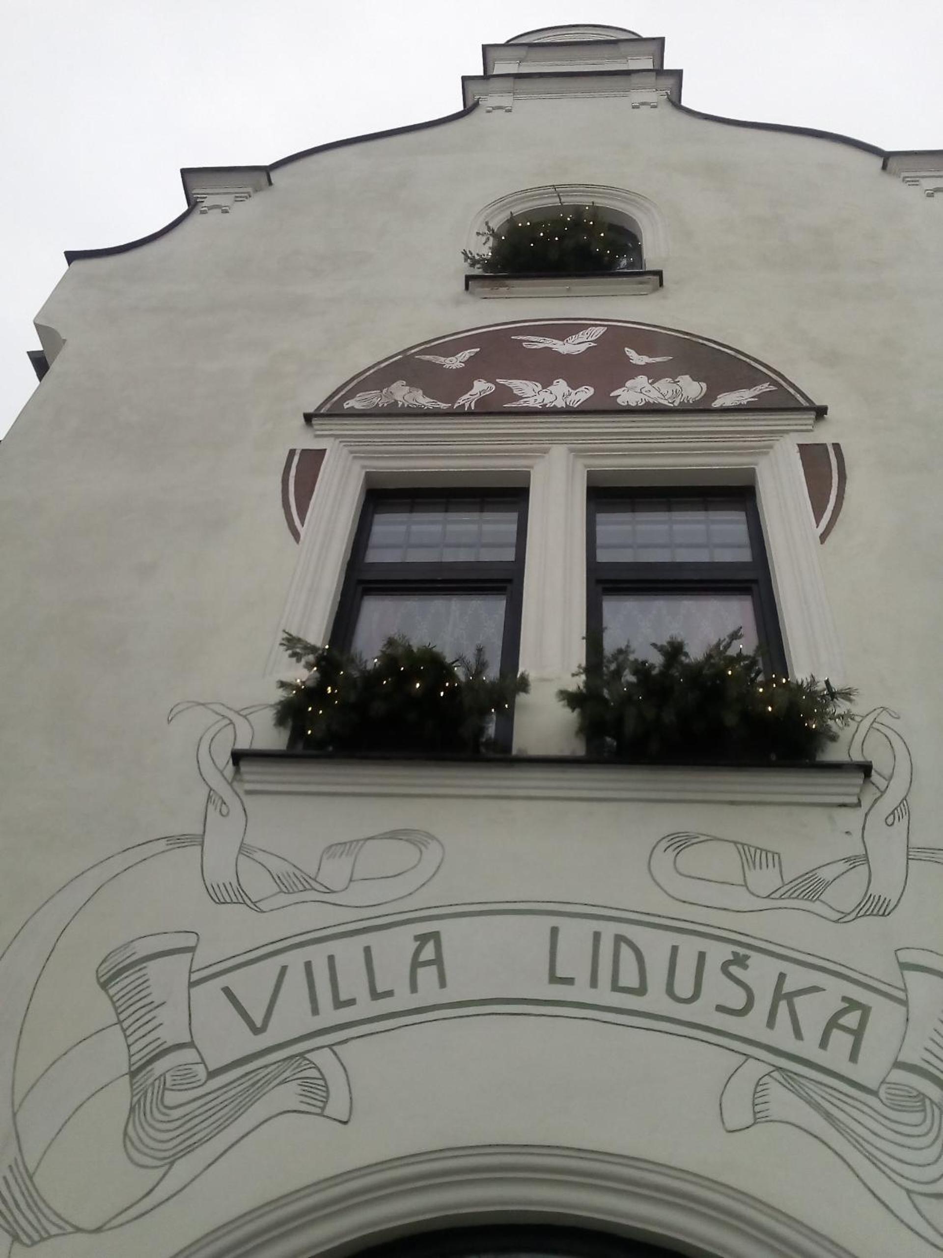 Villa Liduška s kavárnou
