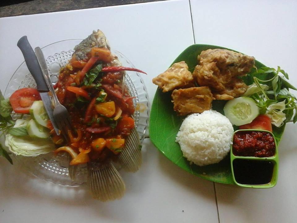 Fidodido Guesthouse Jungle trekking only book with us if you stay on here