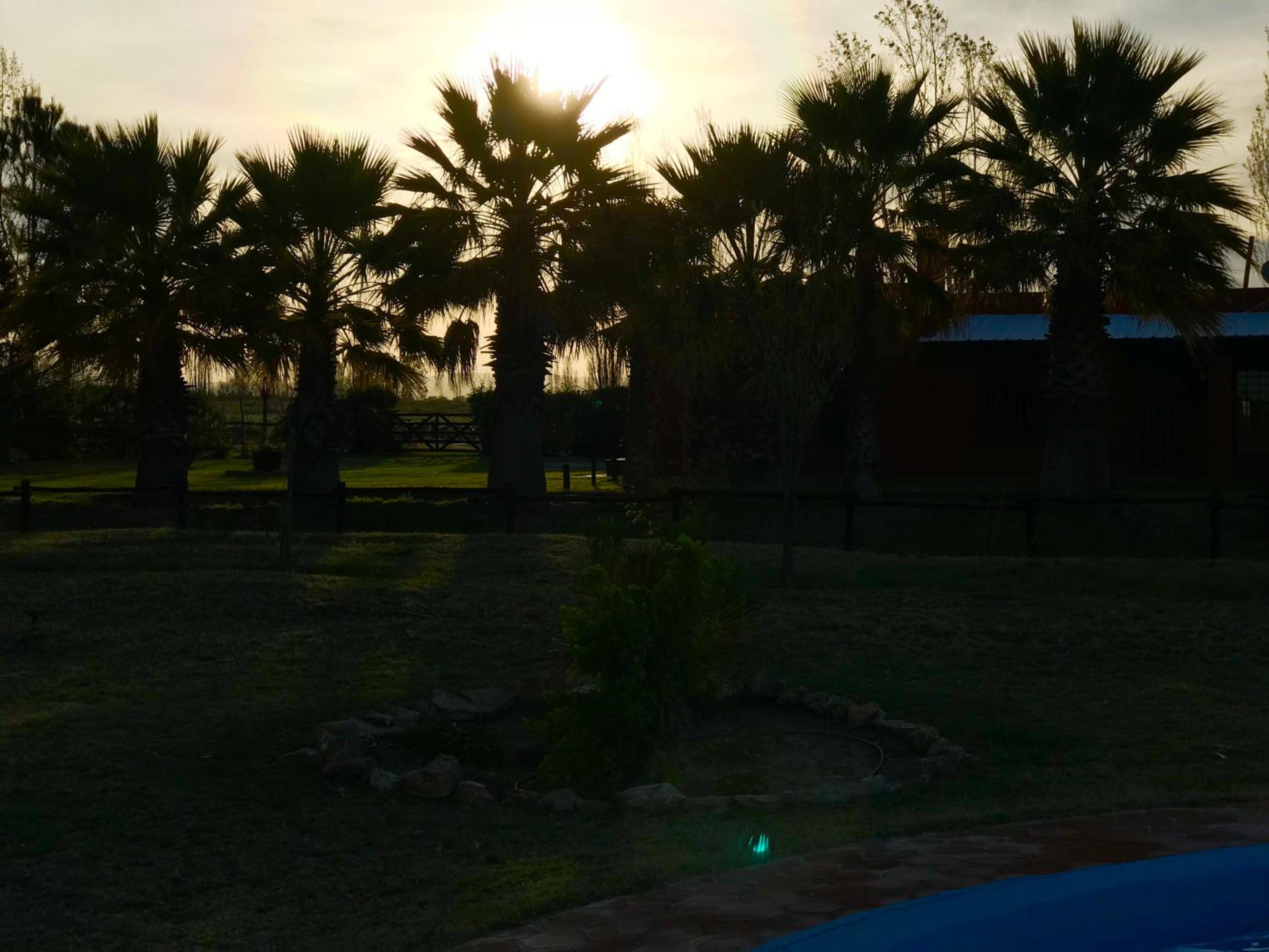 Finca Silvestre