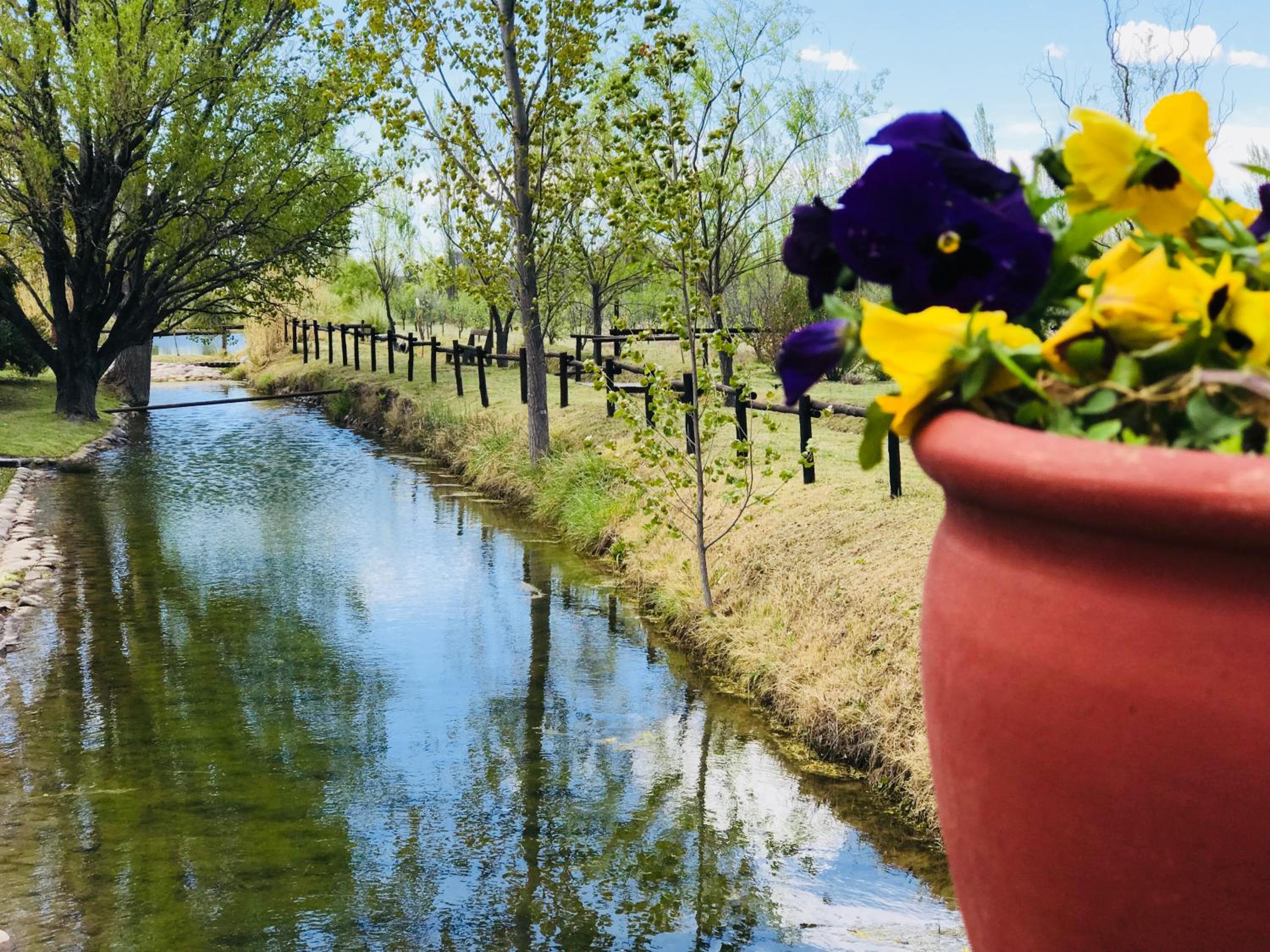 Finca Silvestre