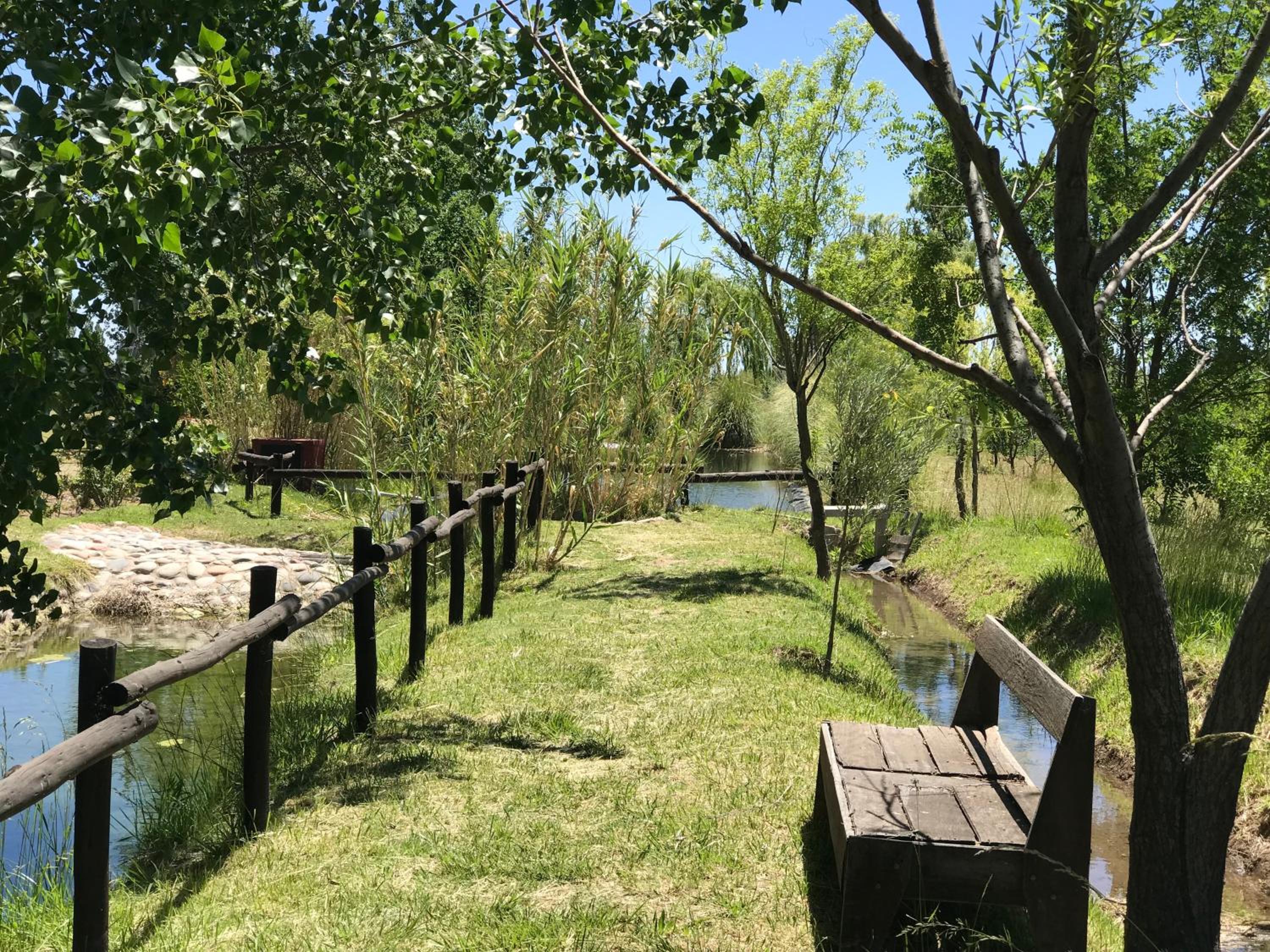 Finca Silvestre