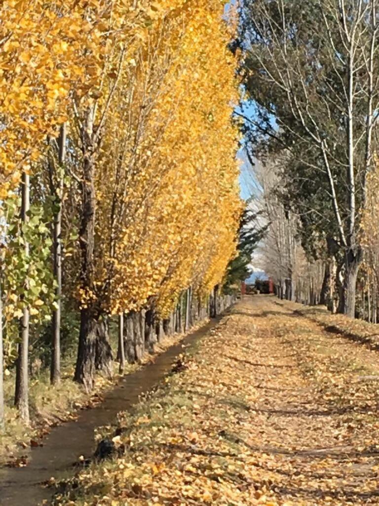 Finca Silvestre