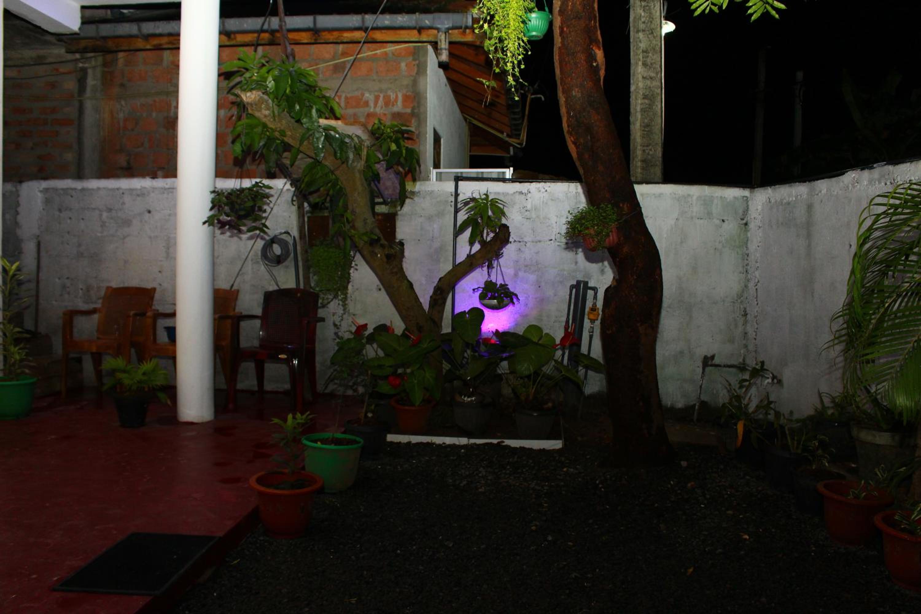 Photo 32
