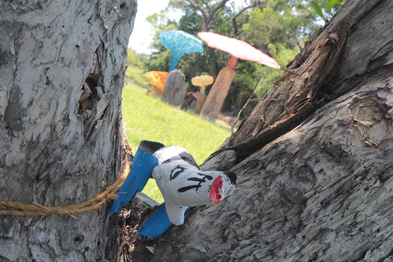Photo 164