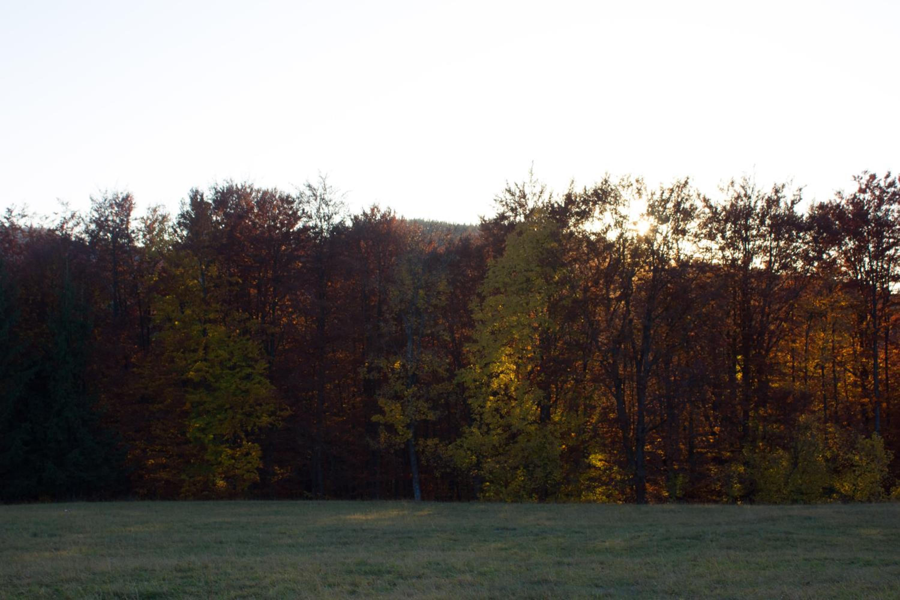 Photo 35