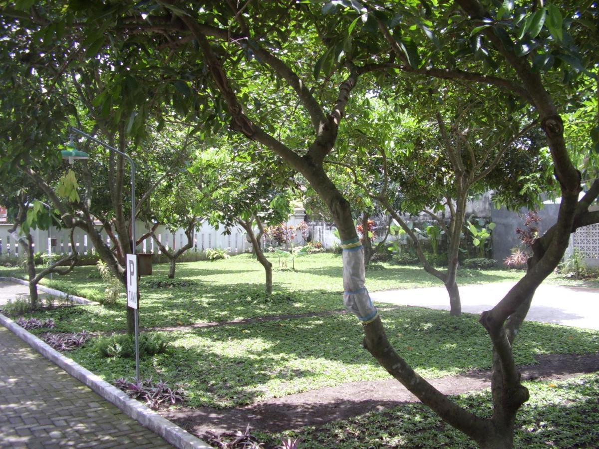 children's play area